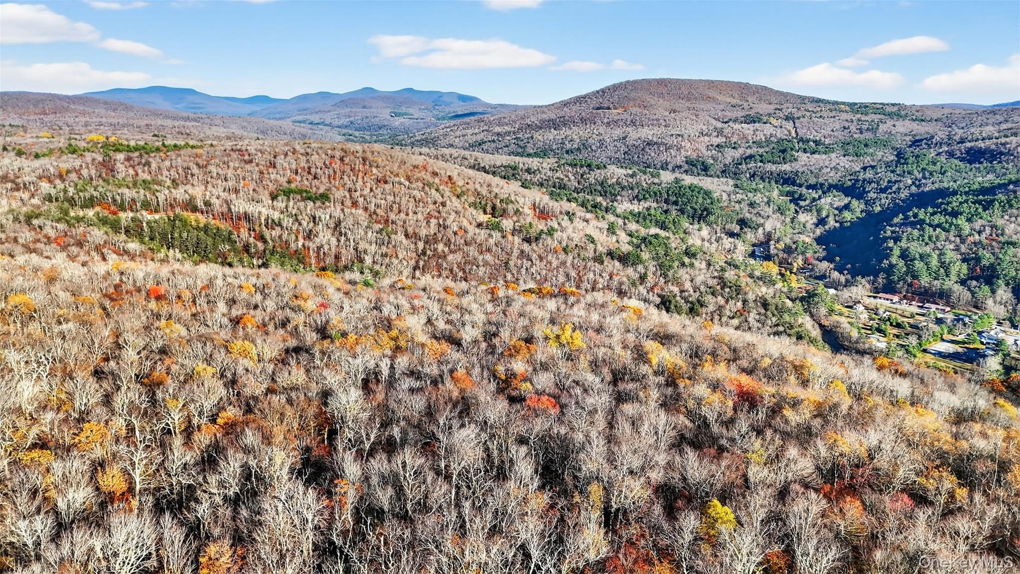 #9 photo, 79 Taylor Road, Claryville , NY 12725