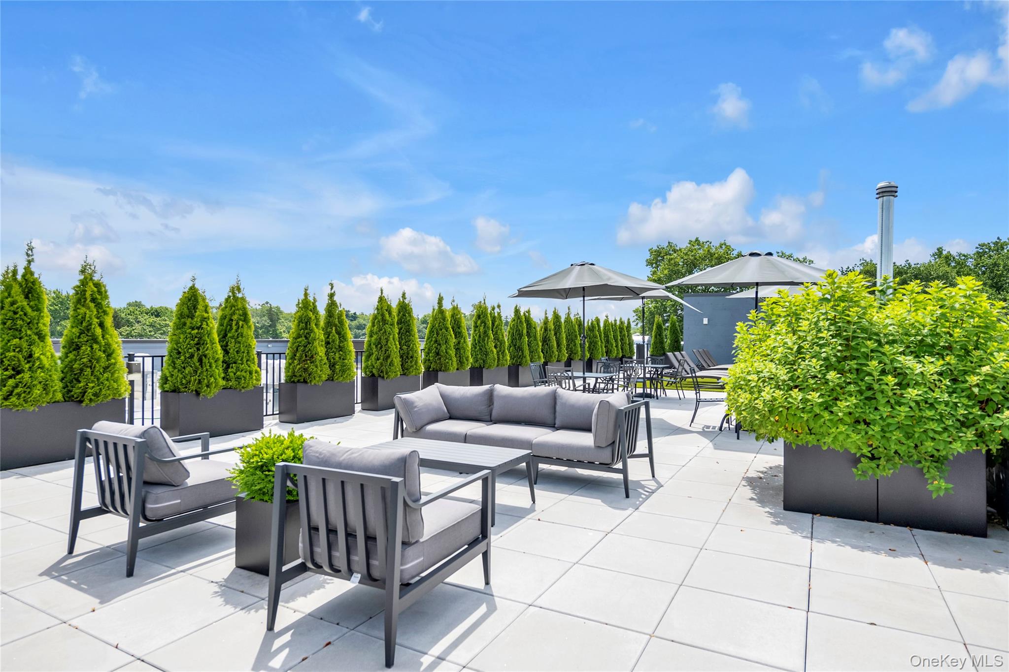 #7 photo, 218 Middle Neck Road, ナッソー郡 Great Neck , NY 11021