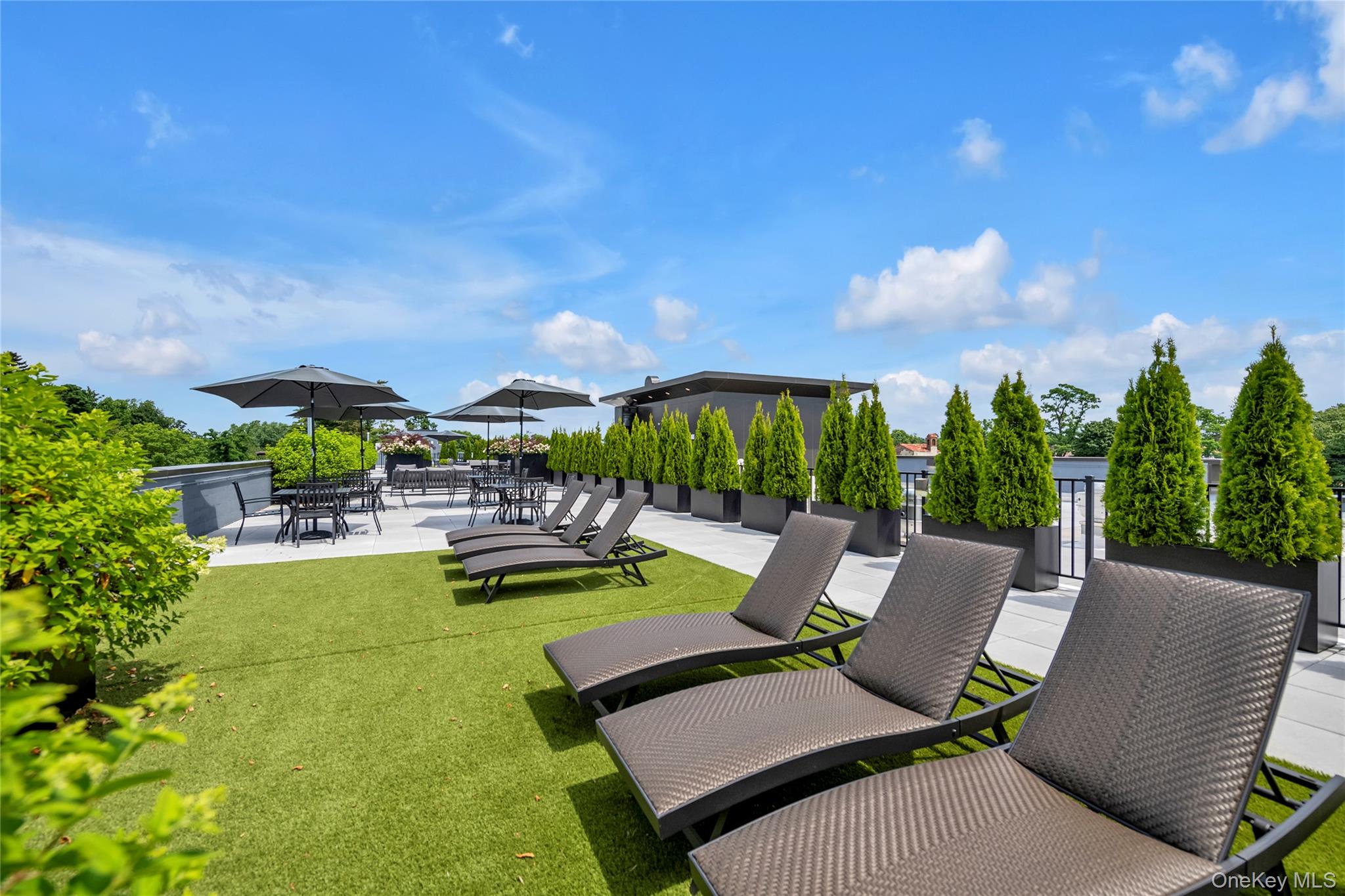 #8 photo, 218 Middle Neck Road, ナッソー郡 Great Neck , NY 11021