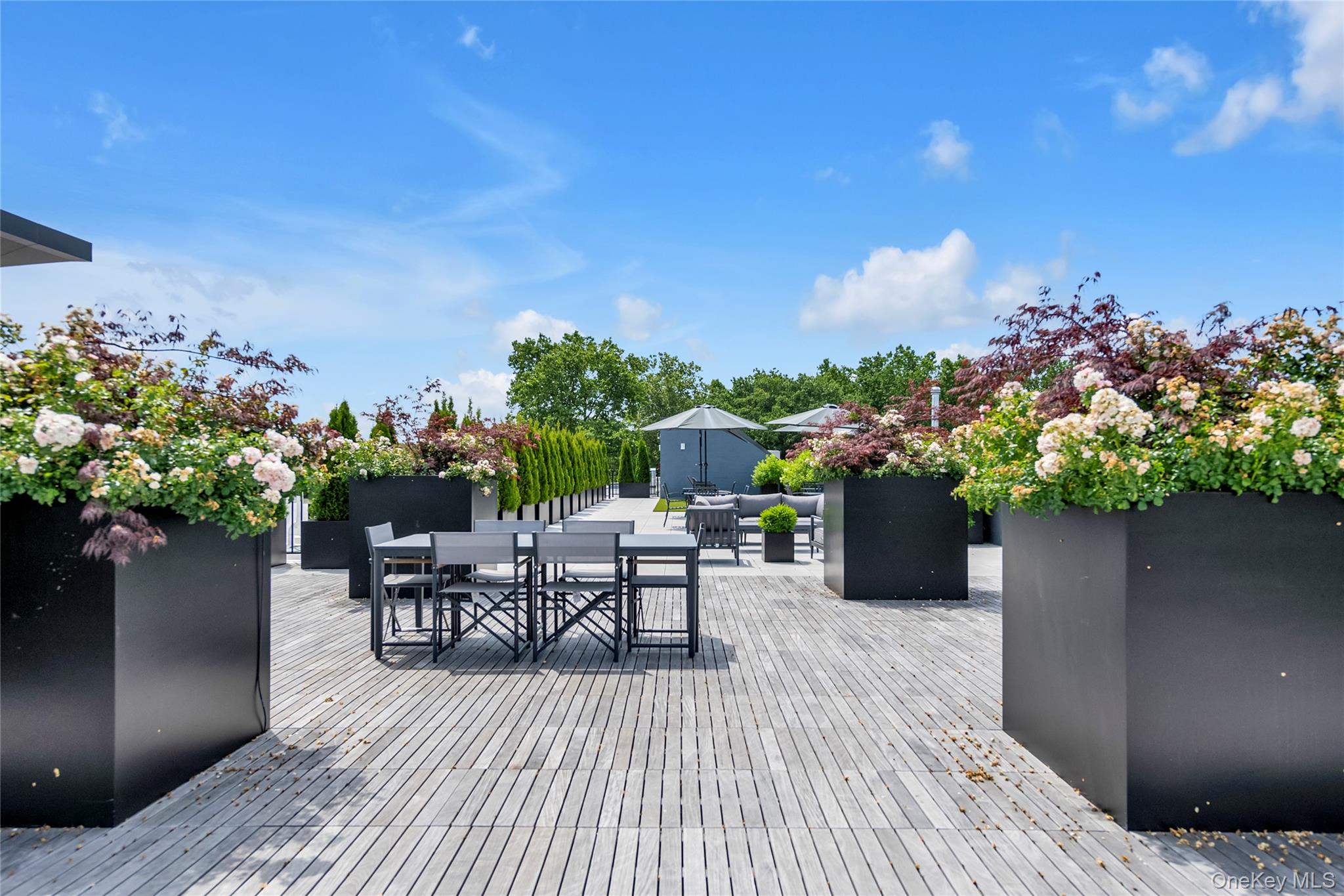 #9 photo, 218 Middle Neck Road, ナッソー郡 Great Neck , NY 11021