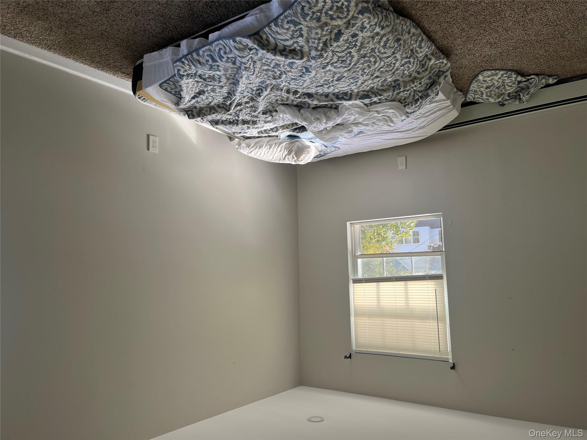 #11 photo, 39 Elder Avenue, サフォーク郡 Farmingville , NY 11738