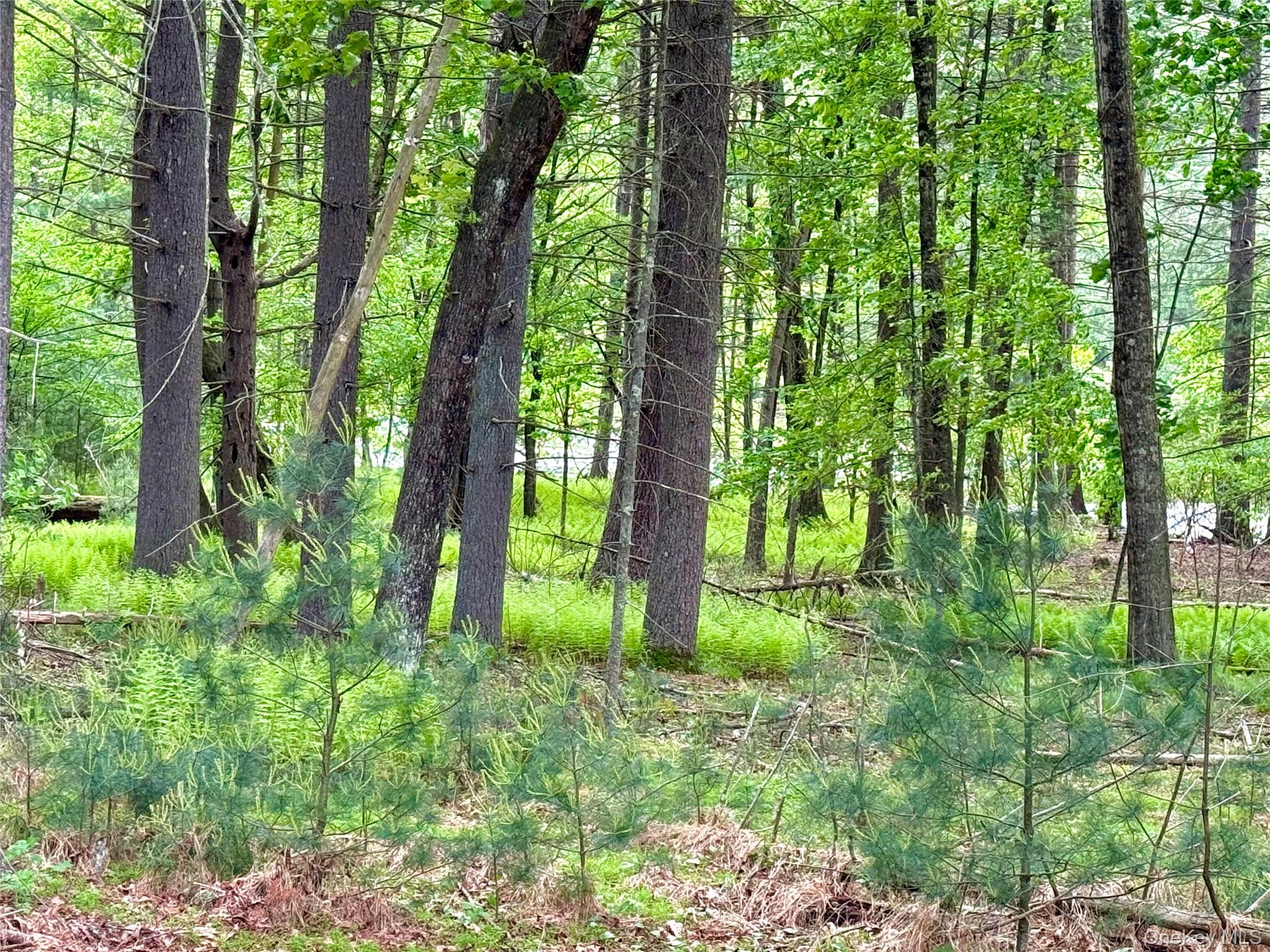 #20 photo, 5 Faith Dr, Port Jervis , NY 12771