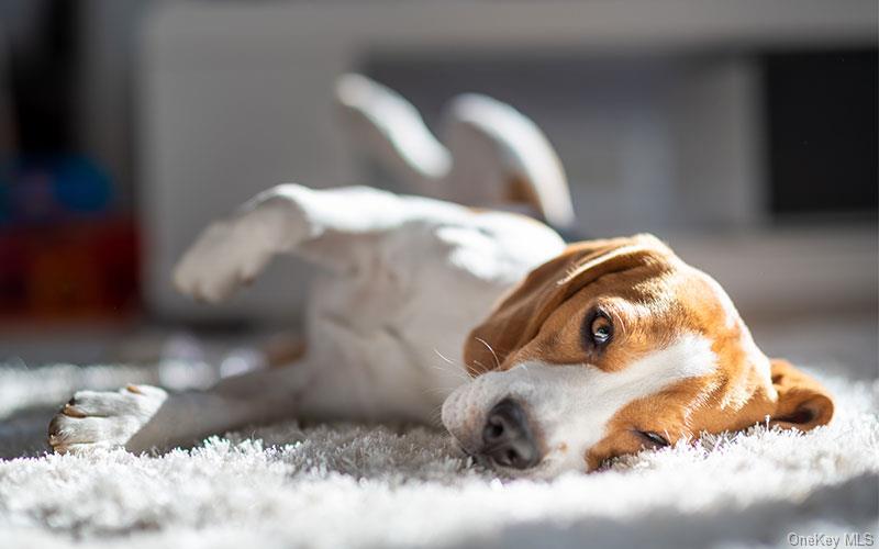 #17 photo, 1 Dekalb Avenue, White Plains , NY 10605