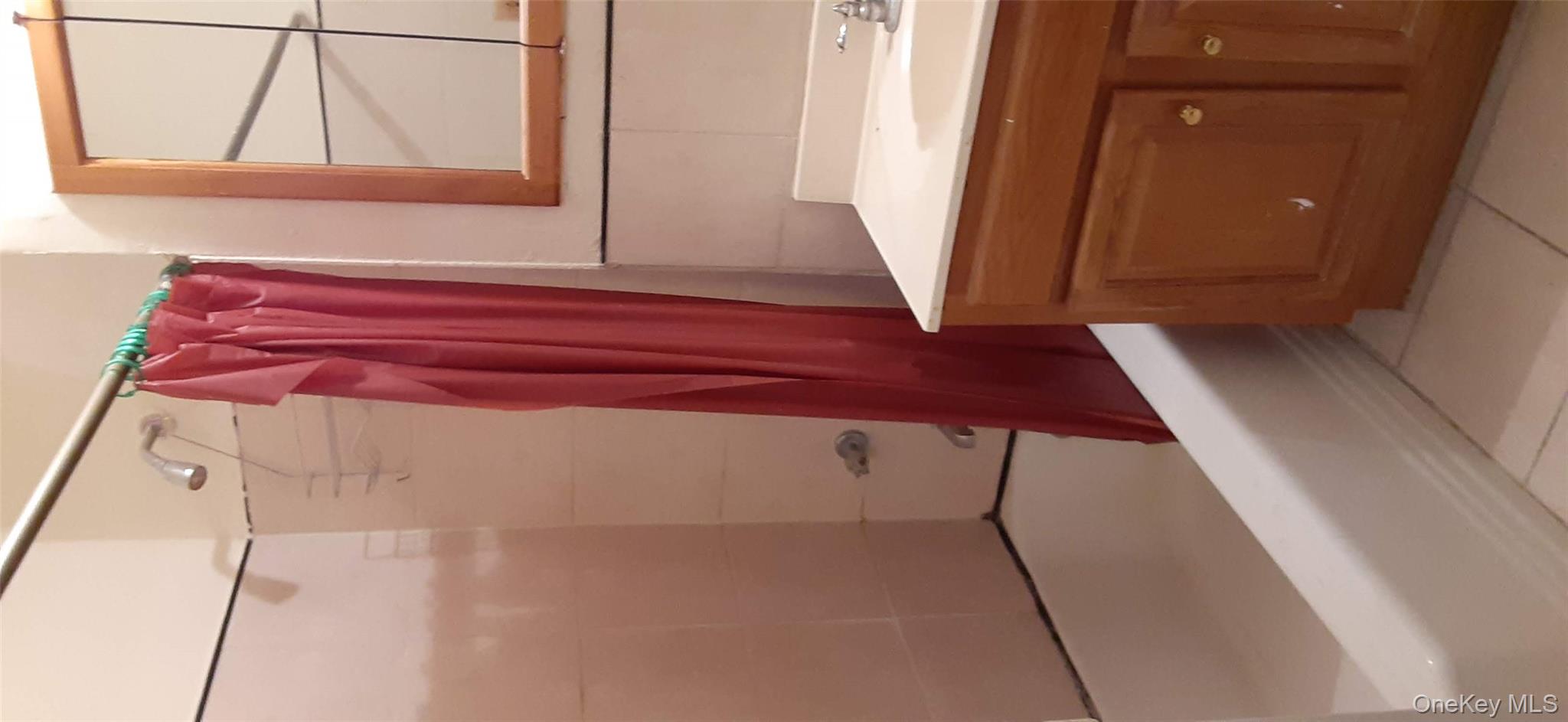 #10 photo, 814 Tilden Street, ブロンクス区 Bronx , NY 10467