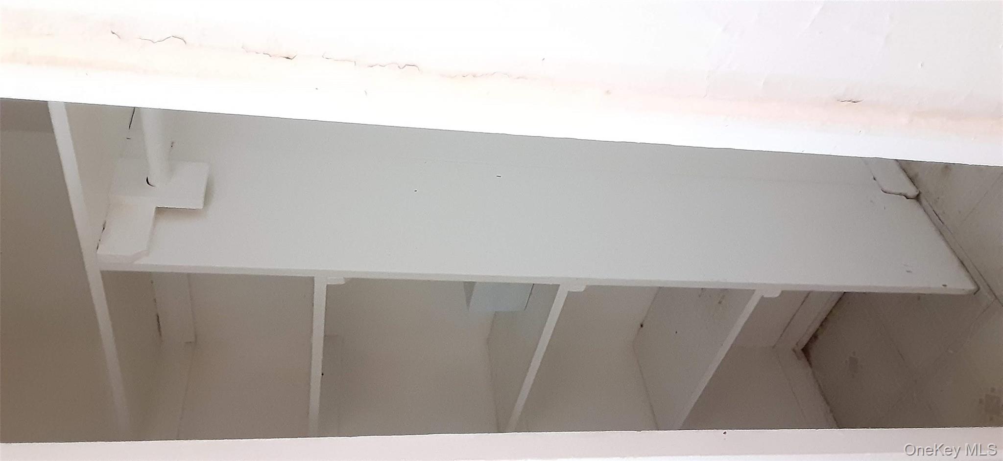 #11 photo, 814 Tilden Street, ブロンクス区 Bronx , NY 10467