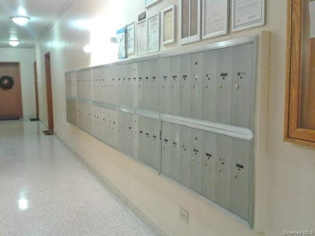 #13 photo, 814 Tilden Street, ブロンクス区 Bronx , NY 10467