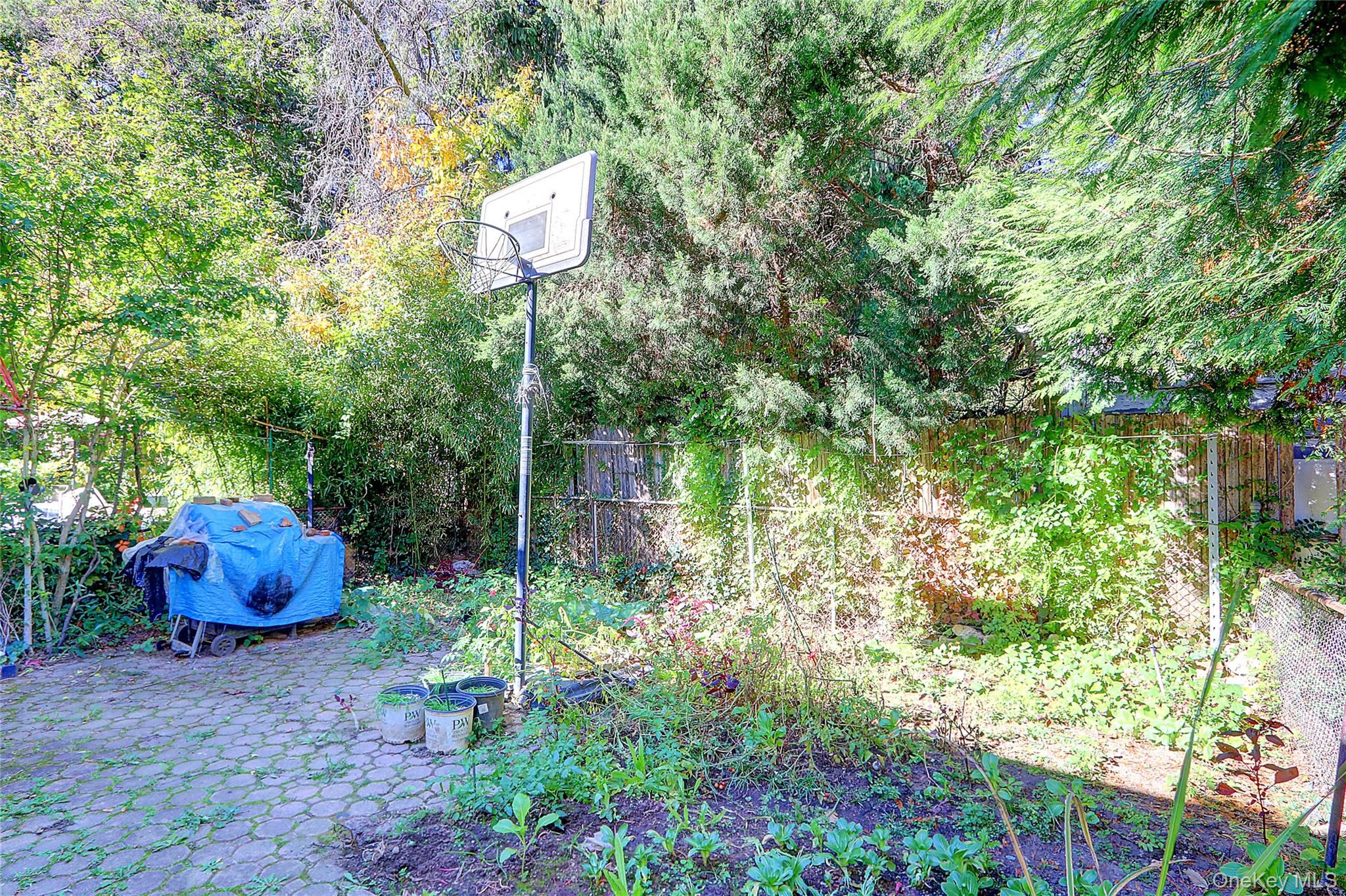 #19 photo, 6 Walnut Place, ナッソー郡 Great Neck , NY 11021