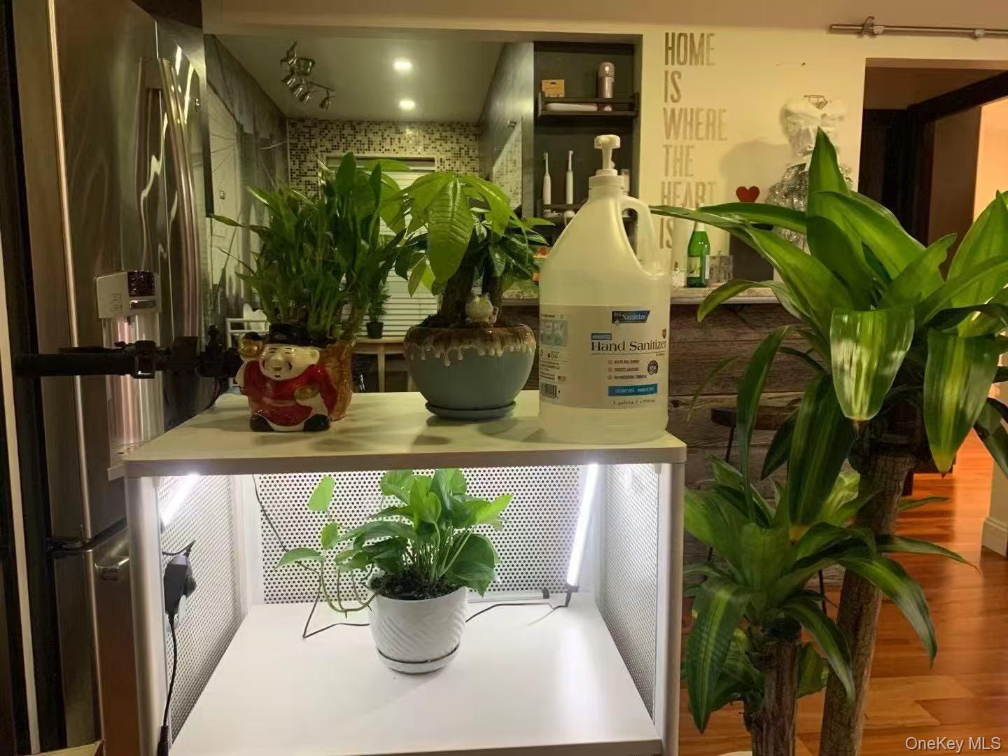 #8 photo, 138-29 68th Drive, Flushing , NY 11367