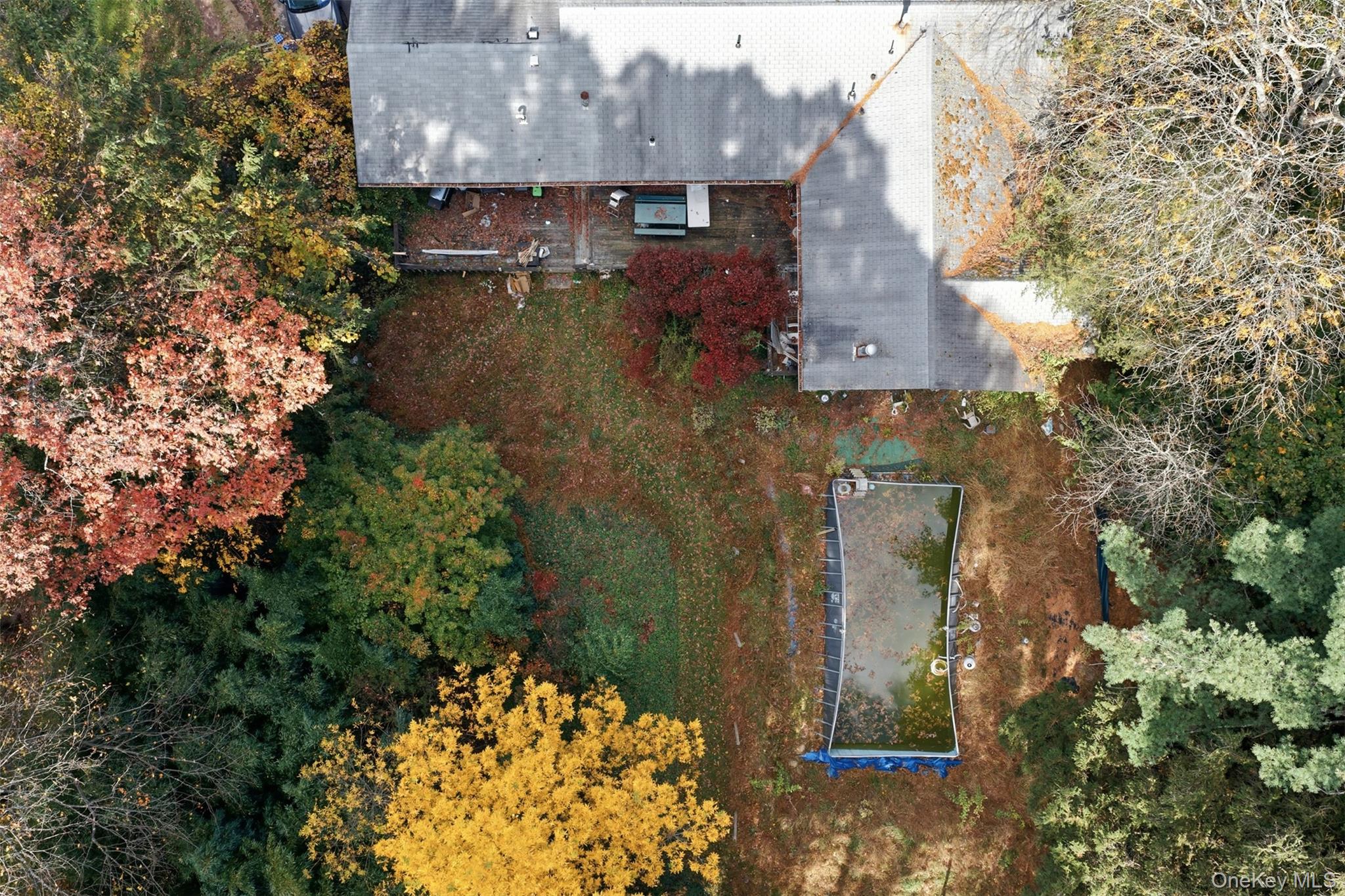 #12 photo, 20 Amsterdam Avenue, Monsey , NY 10952