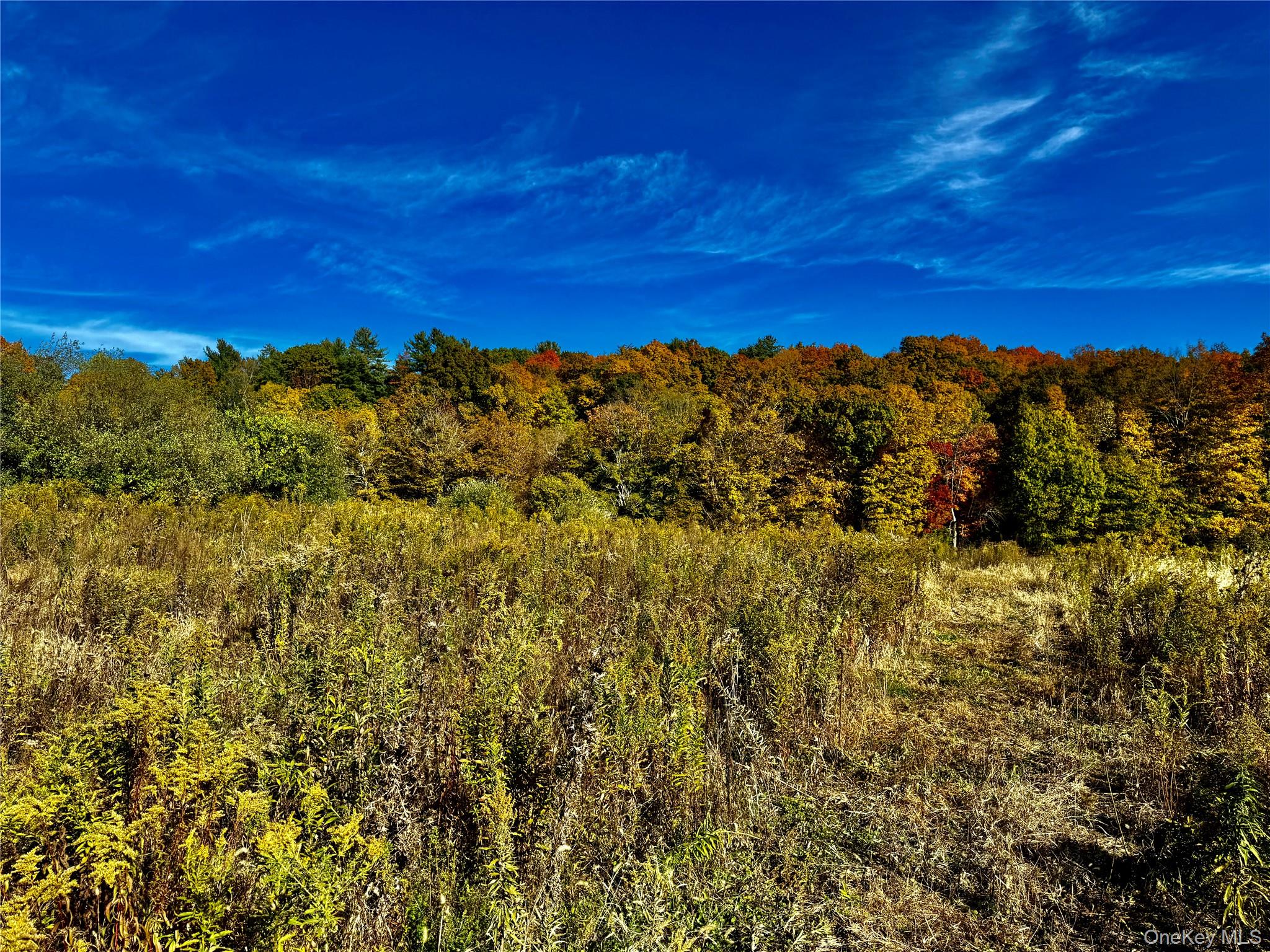 #17 photo, 114 Old Barrington Road, Claverack , NY 12530