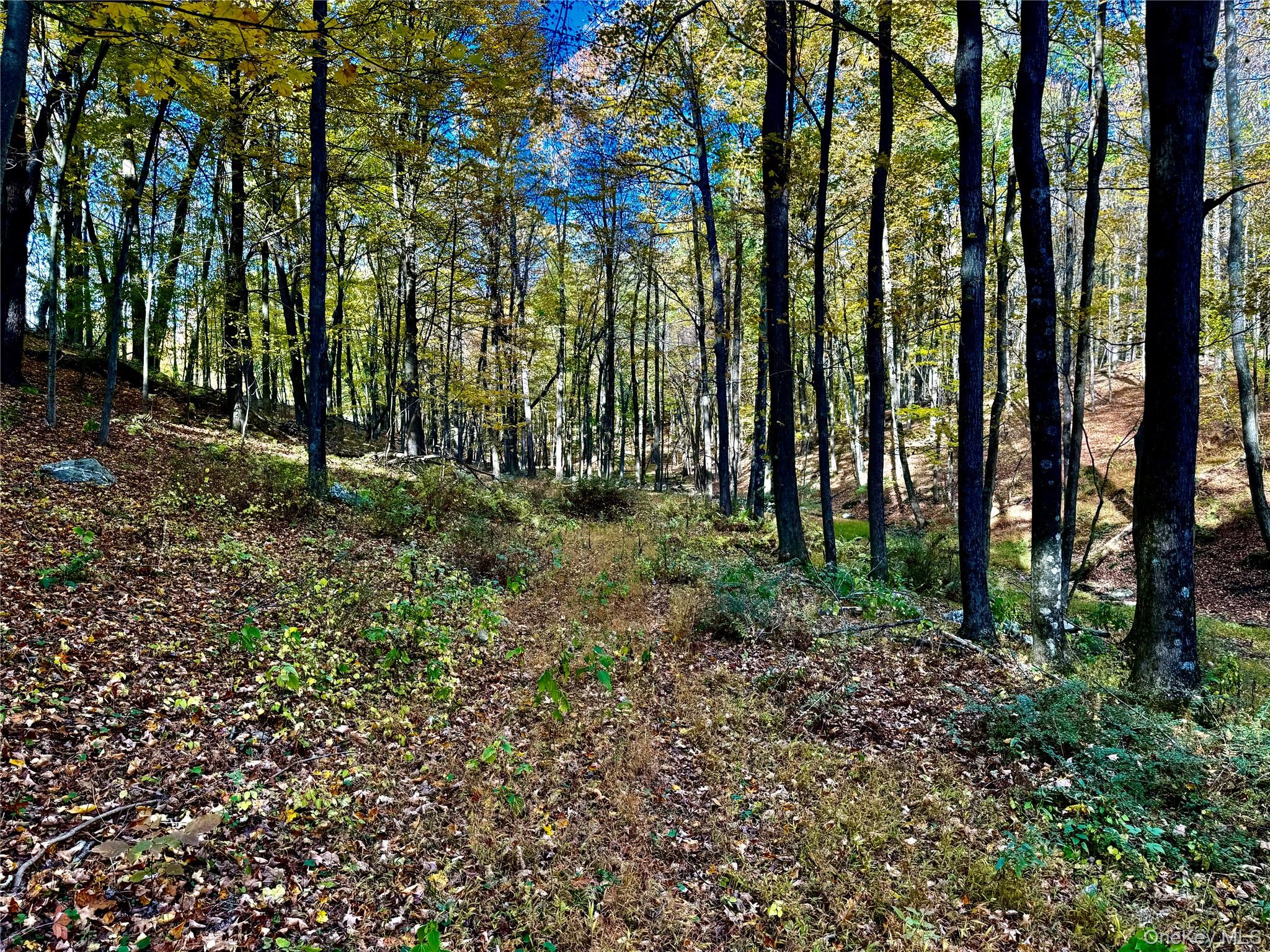 #18 photo, 114 Old Barrington Road, Claverack , NY 12530