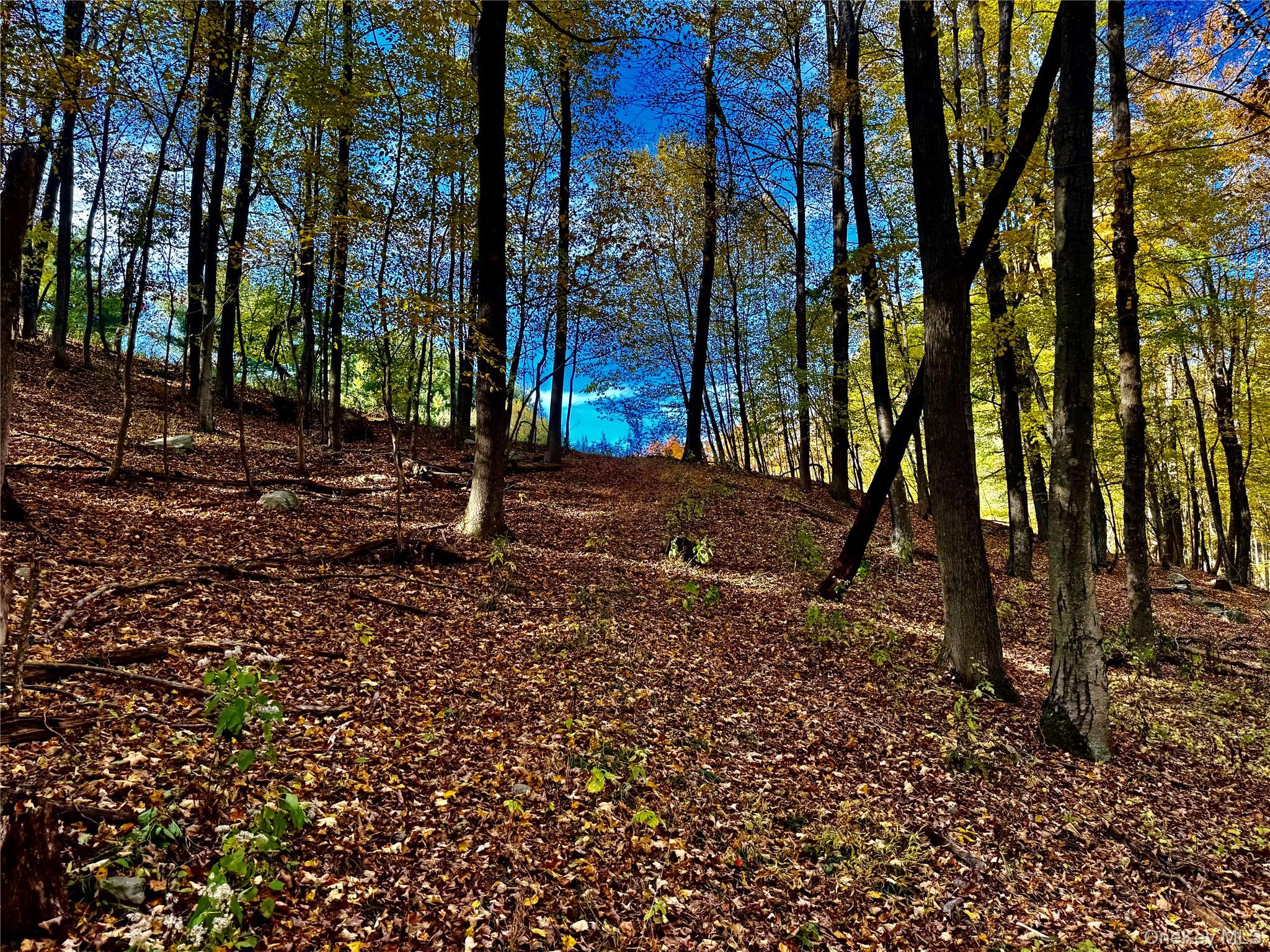 #20 photo, 114 Old Barrington Road, Claverack , NY 12530