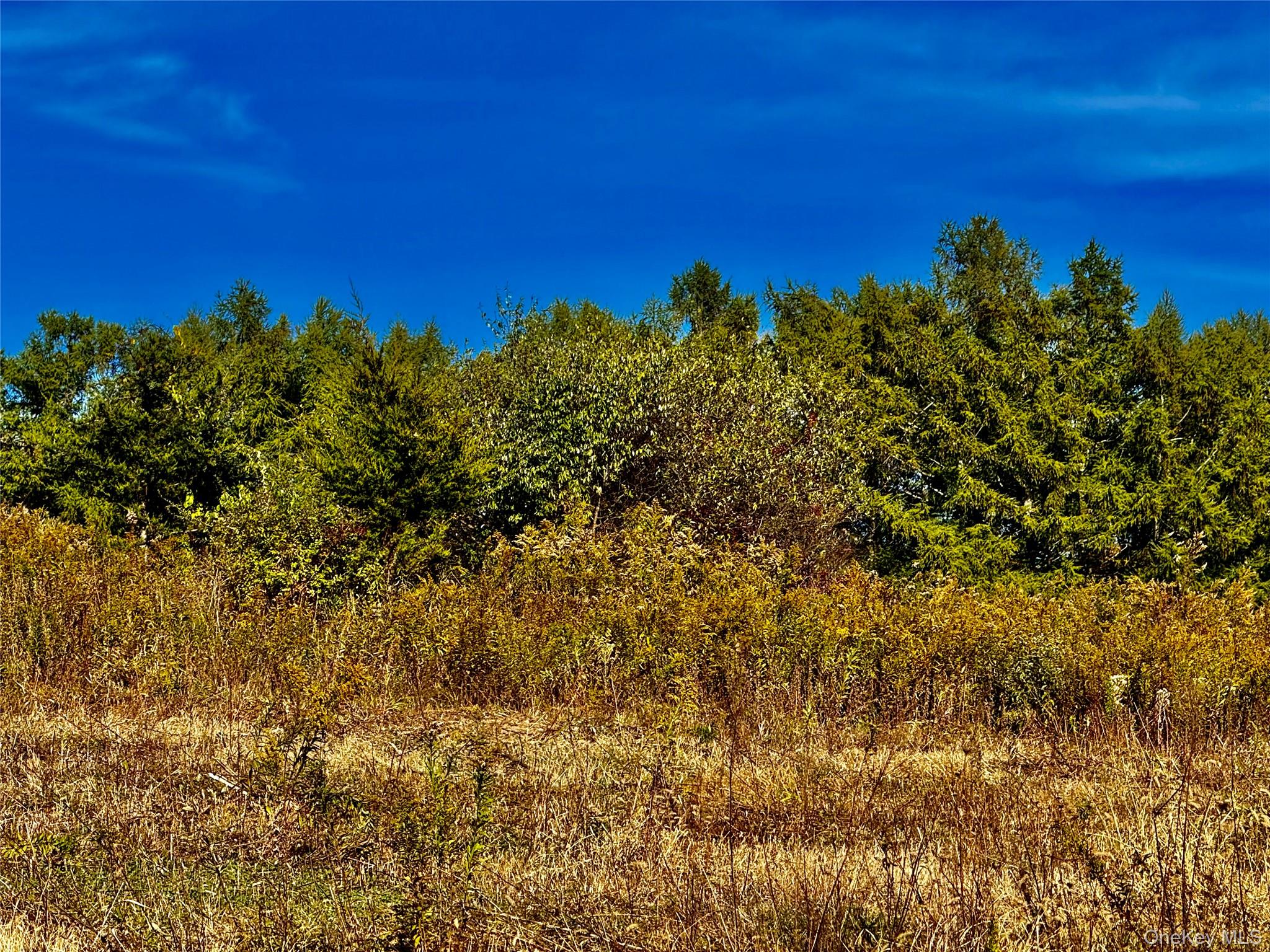 #2 photo, 631 Rt-23, Claverack , NY 12530