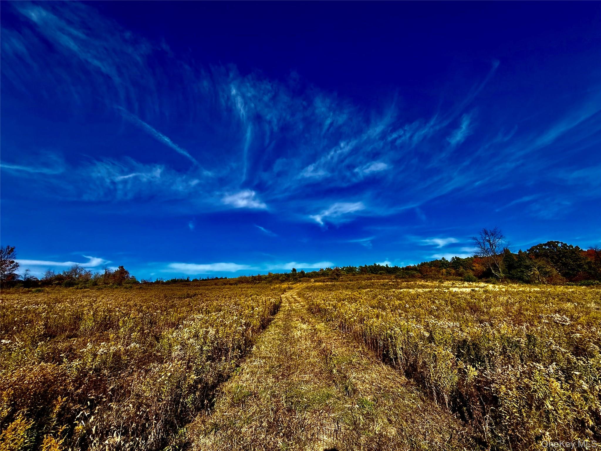 #3 photo, 631 Rt-23, Claverack , NY 12530