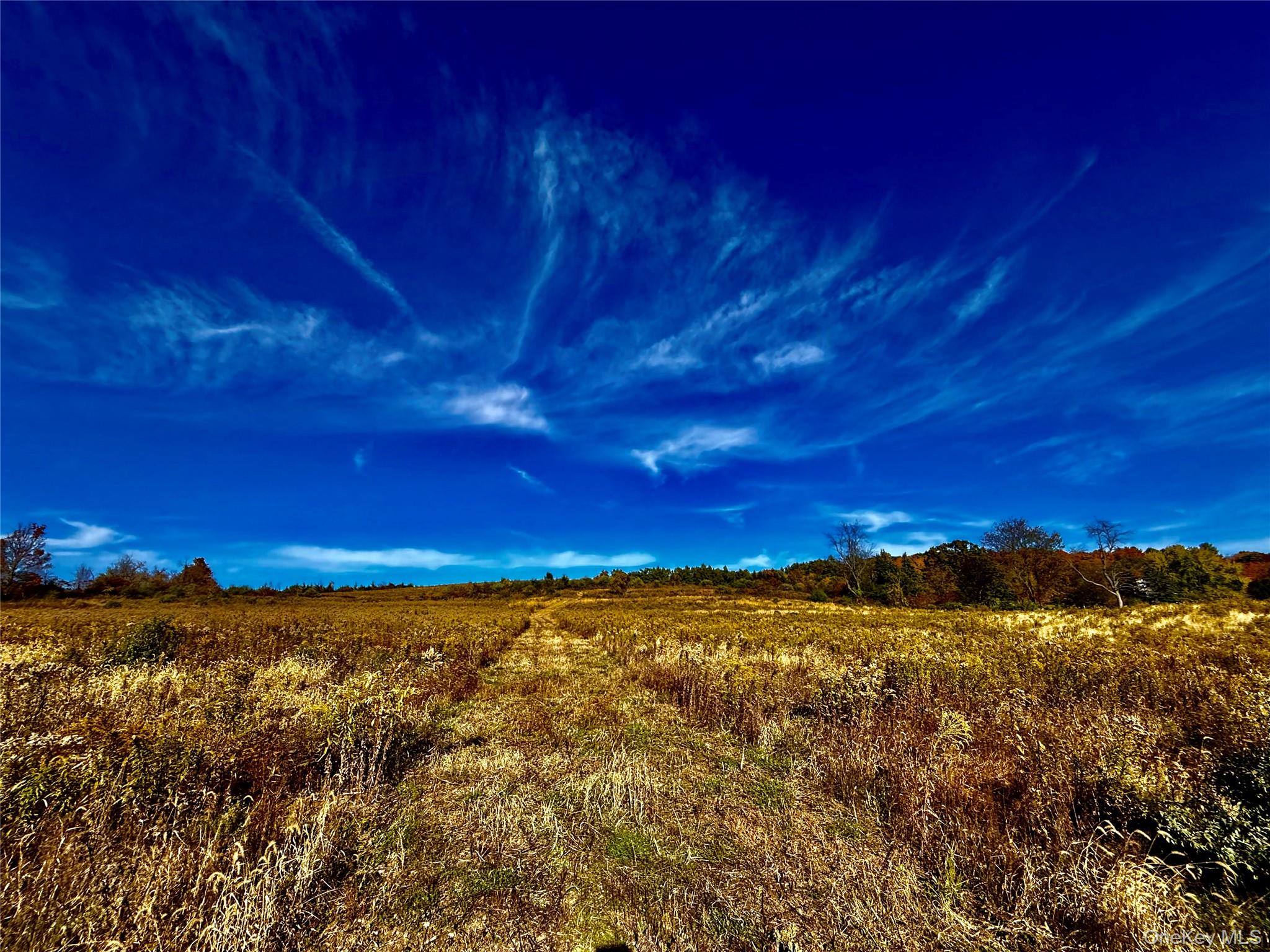 #5 photo, 631 Rt-23, Claverack , NY 12530