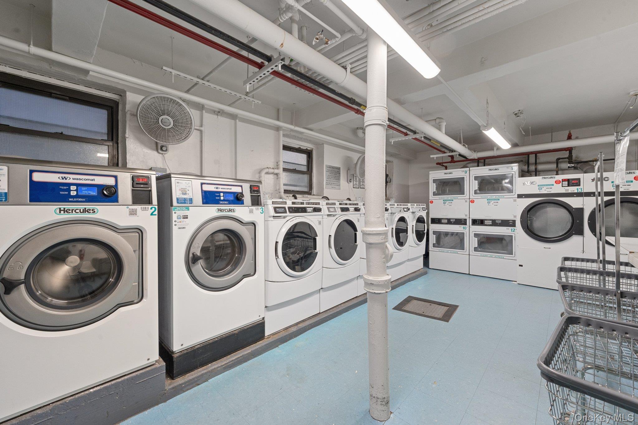 #17 photo, 69-60 108th Street, Forest Hills , NY 11375