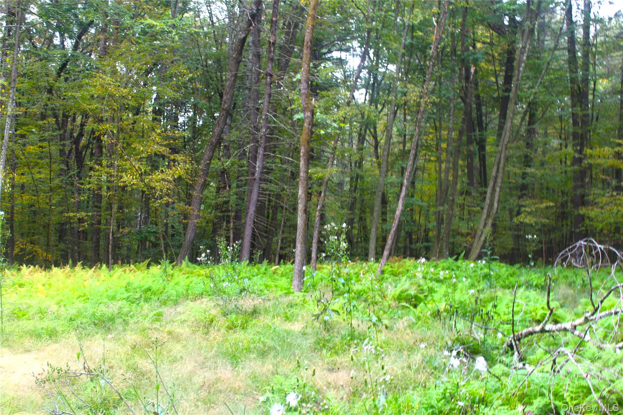 #10 photo, Lot 2 Evergreen Lane, Narrowsburg , NY 12764