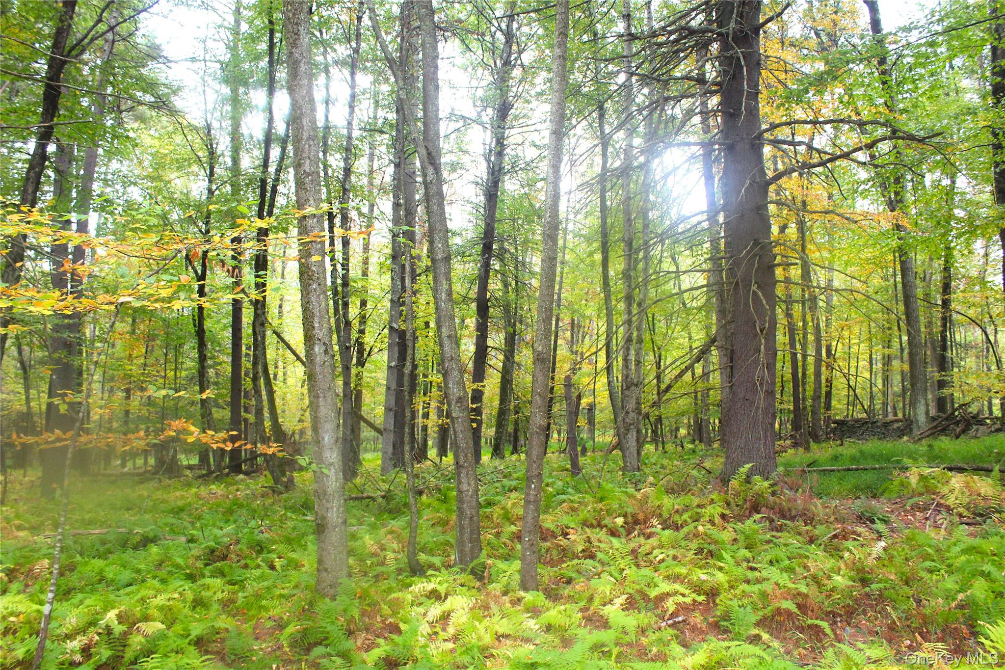 #11 photo, Lot 2 Evergreen Lane, Narrowsburg , NY 12764