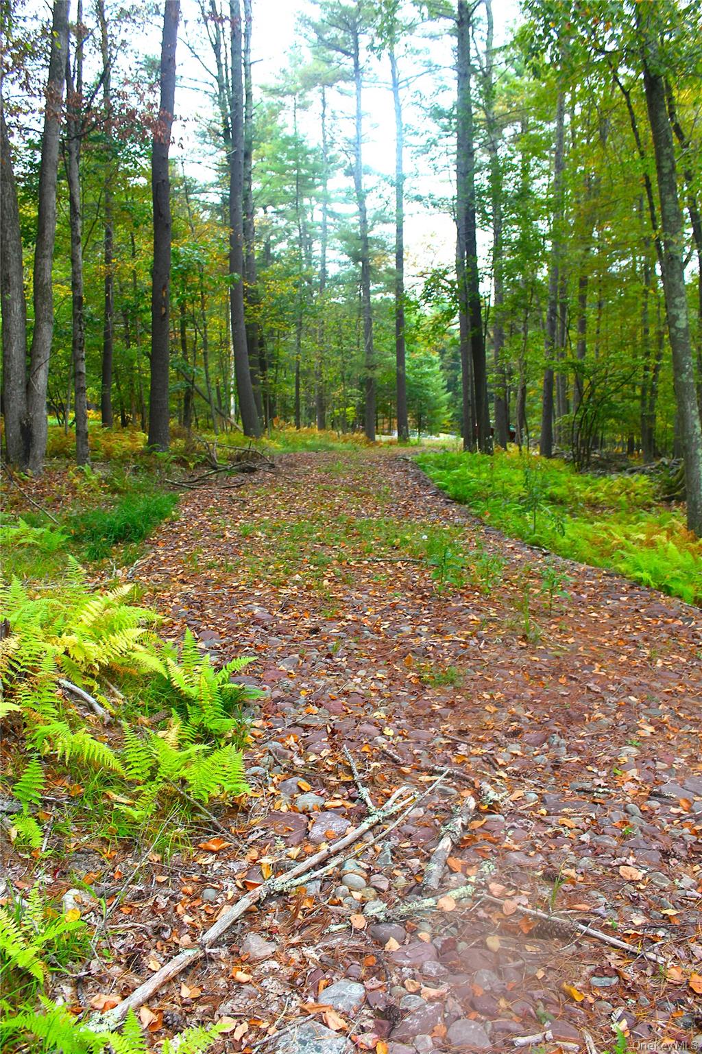 #15 photo, Lot 2 Evergreen Lane, Narrowsburg , NY 12764