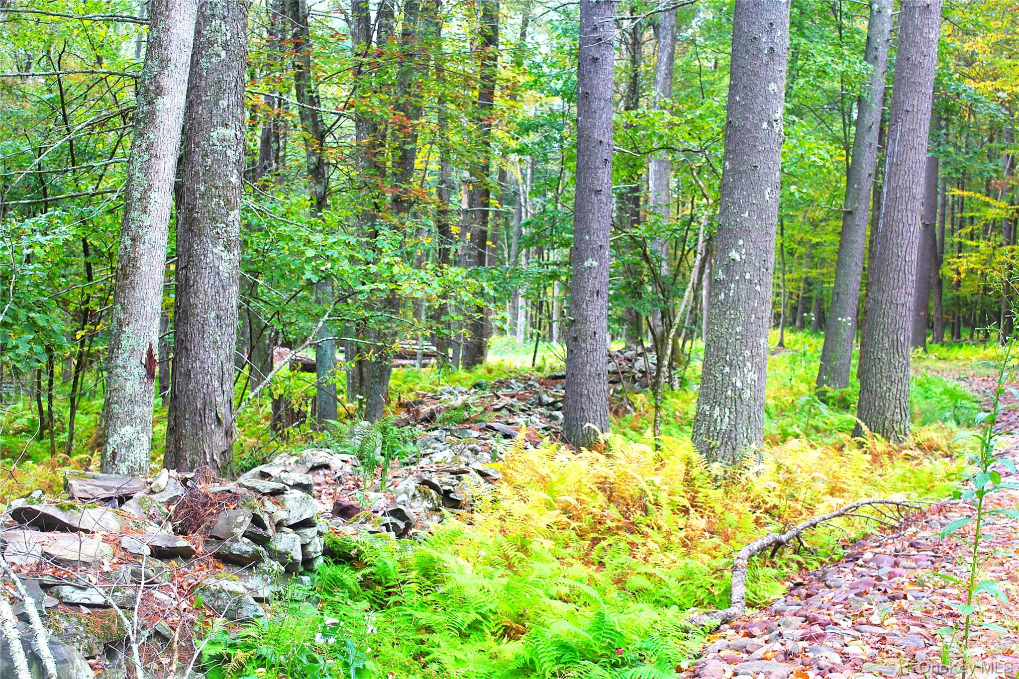 #7 photo, Lot 2 Evergreen Lane, Narrowsburg , NY 12764