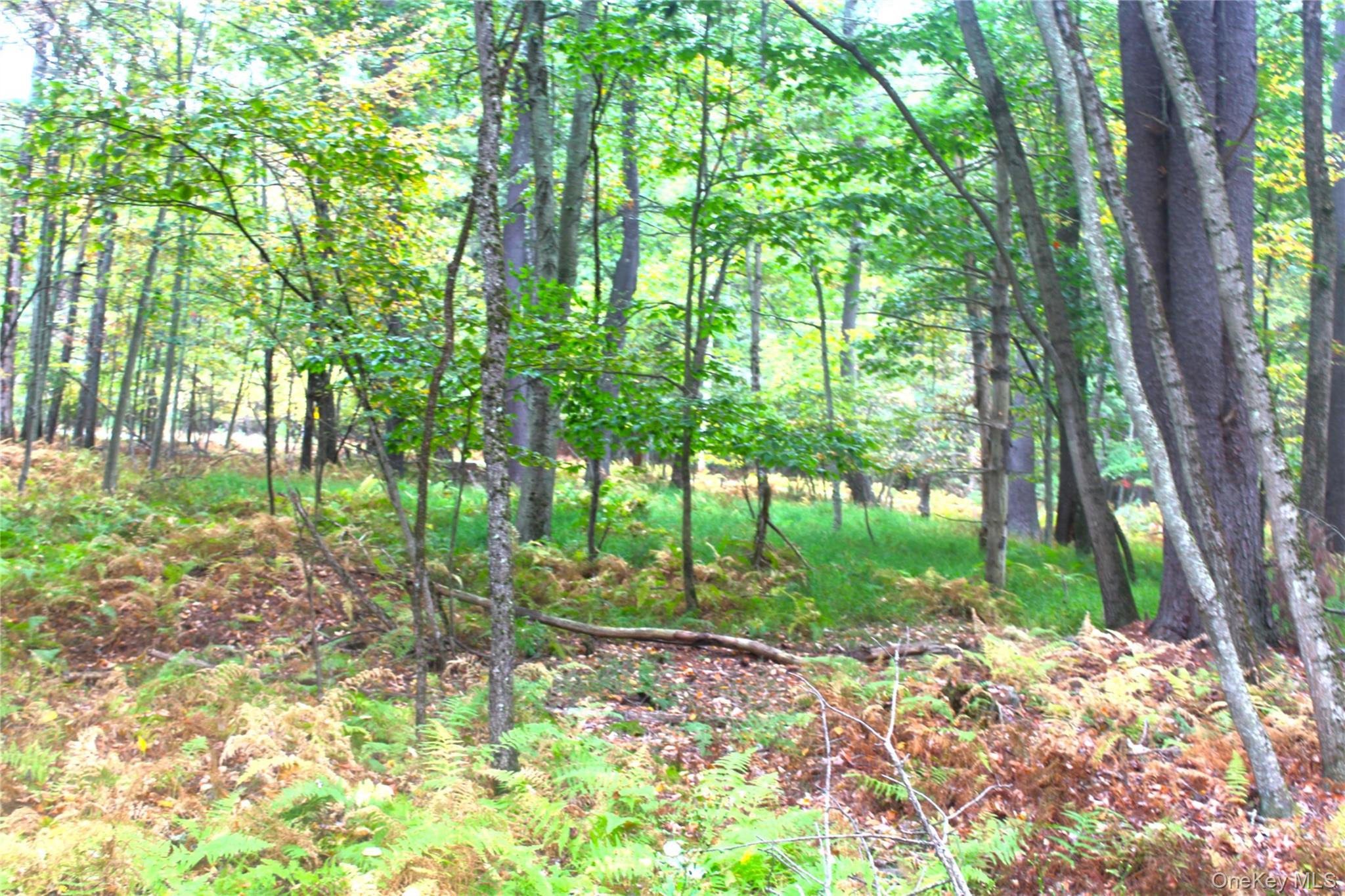 #8 photo, Lot 2 Evergreen Lane, Narrowsburg , NY 12764