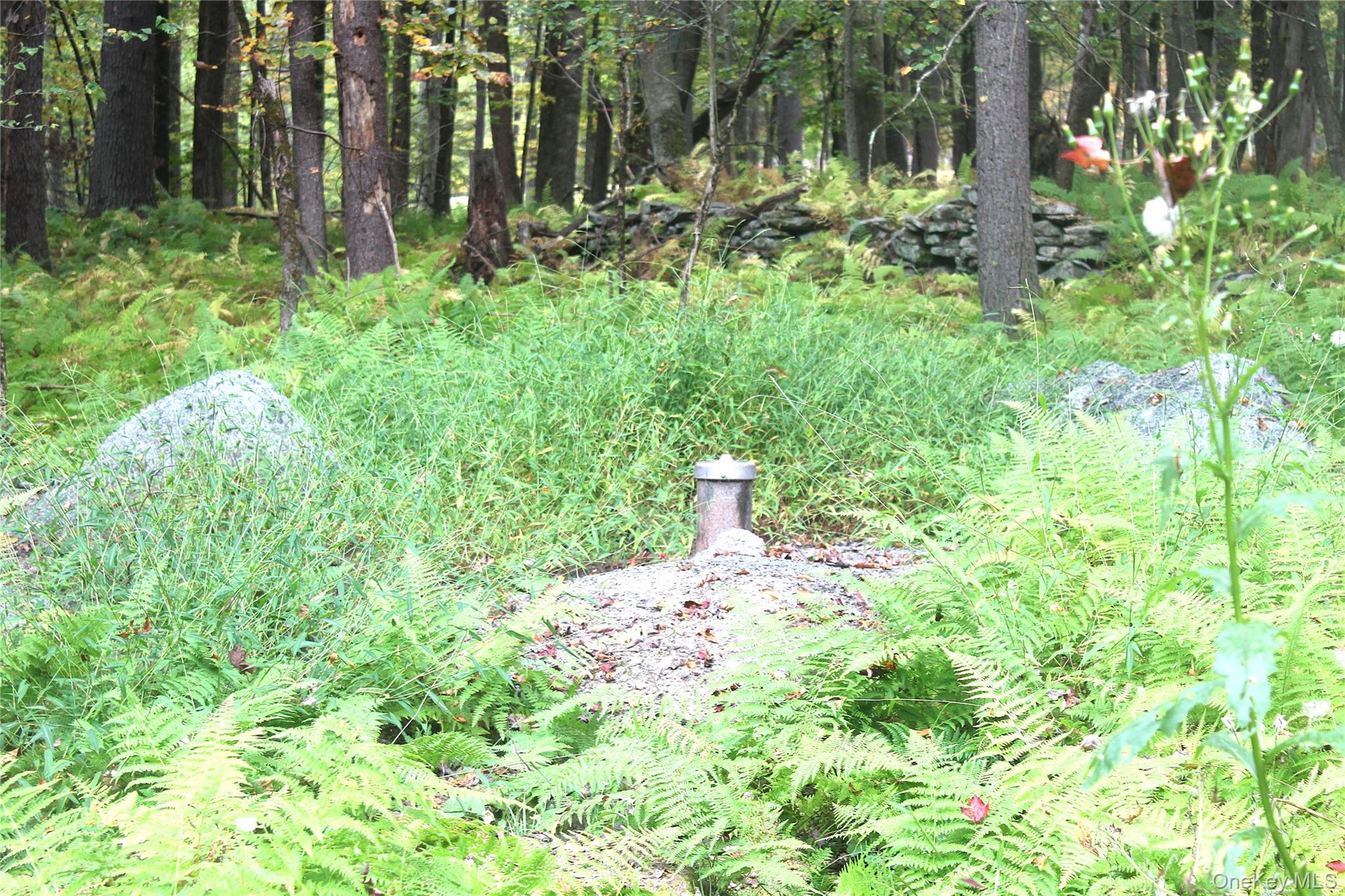 #9 photo, Lot 2 Evergreen Lane, Narrowsburg , NY 12764