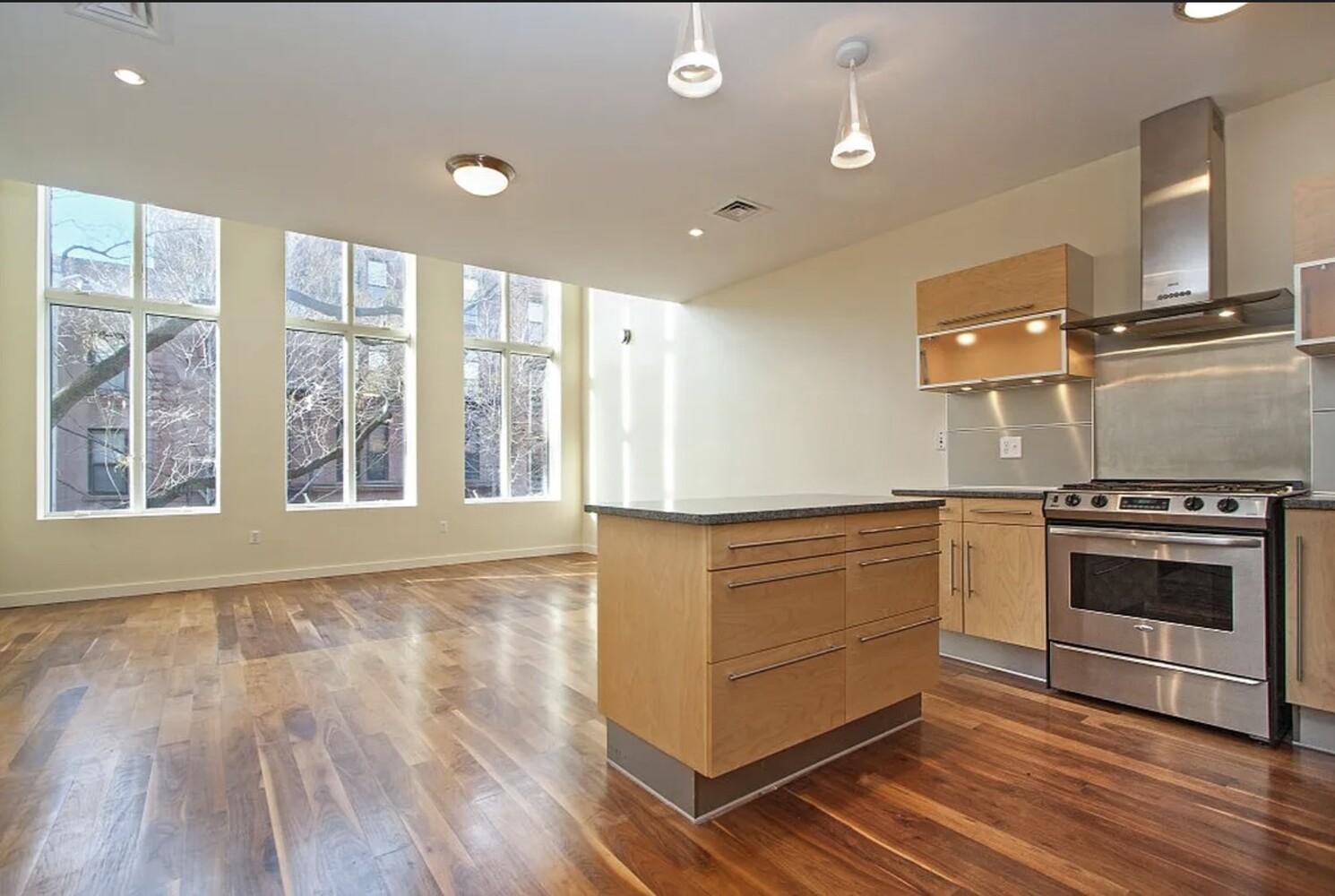 #1 photo, Brooklyn, ブルックリン区 Park Slope , NY 11217