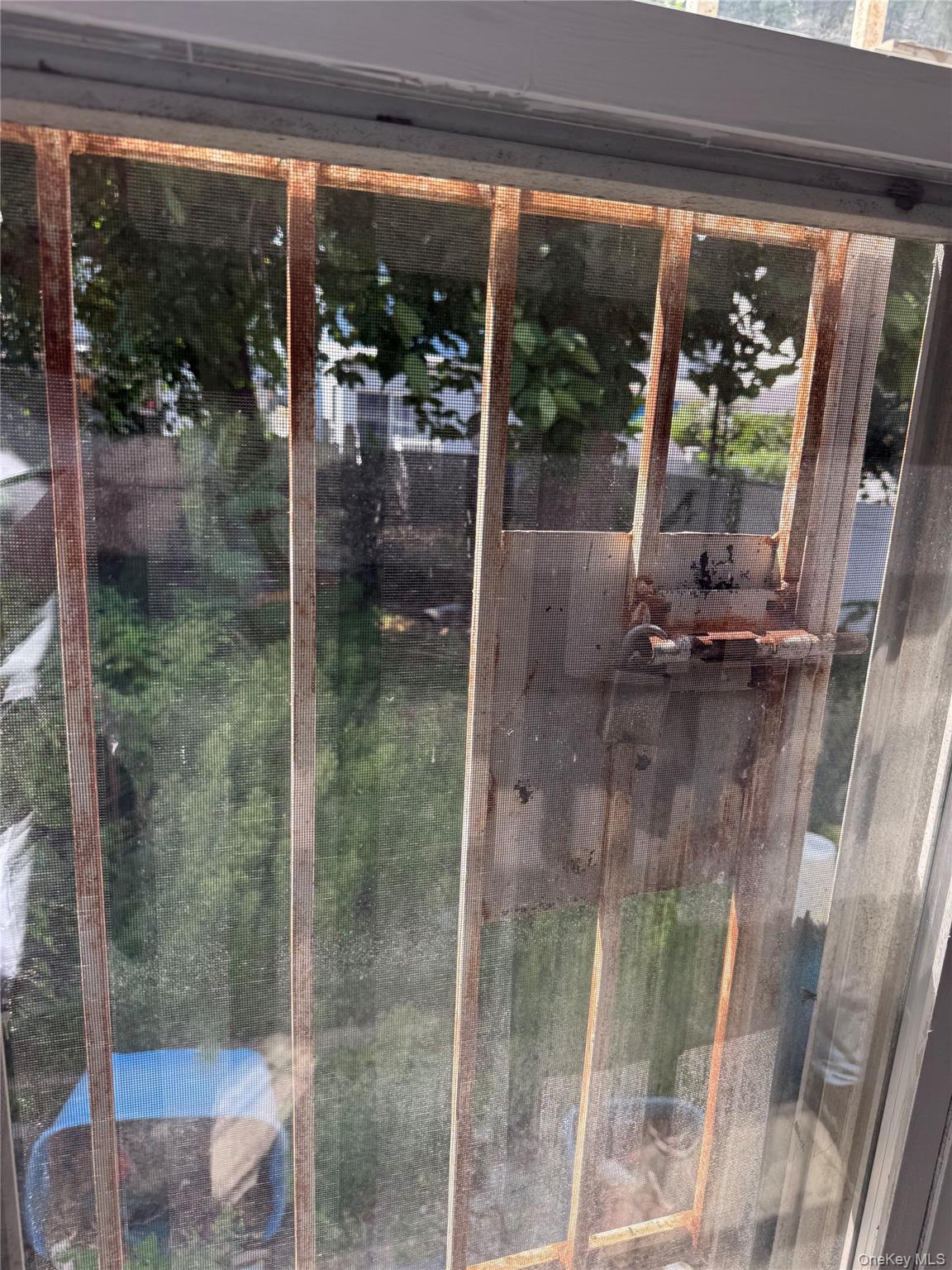 #12 photo, 206 Elton Street, Brooklyn , NY 11208