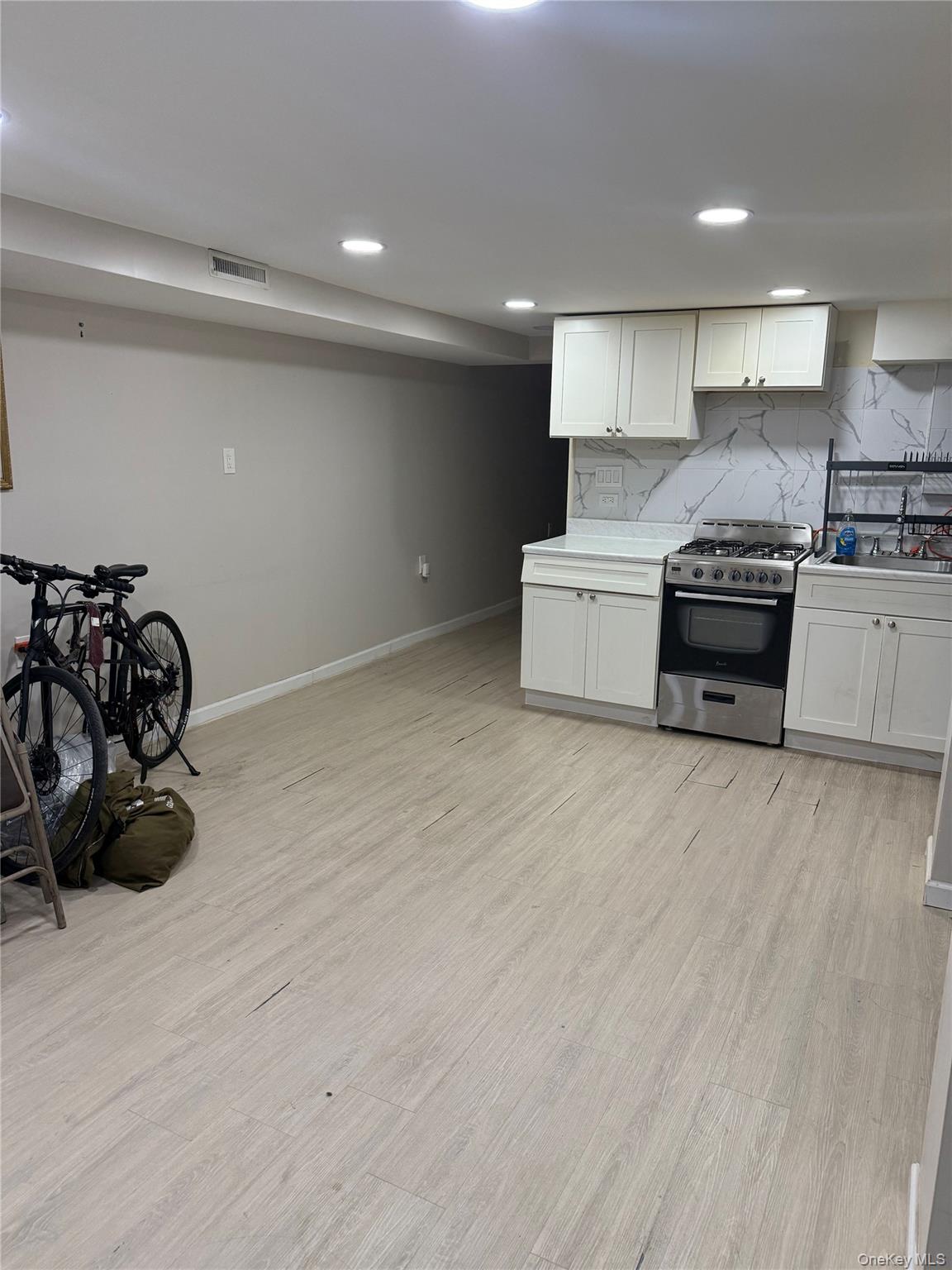 #13 photo, 206 Elton Street, Brooklyn , NY 11208