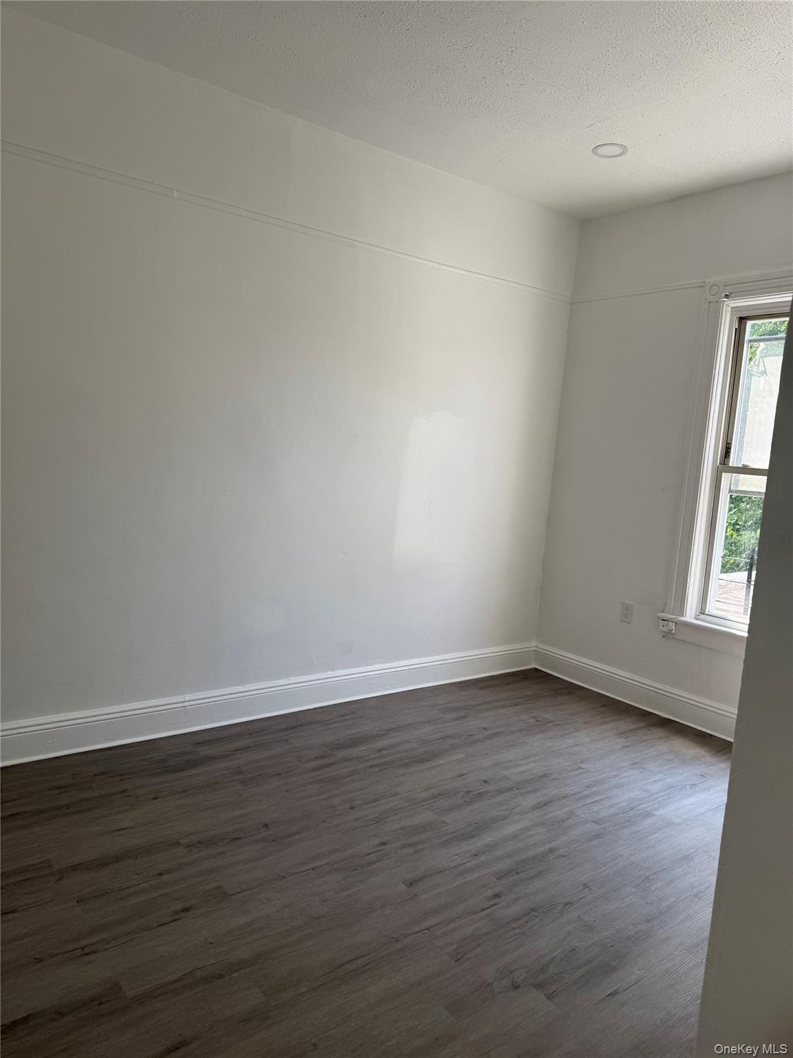 #5 photo, 206 Elton Street, Brooklyn , NY 11208