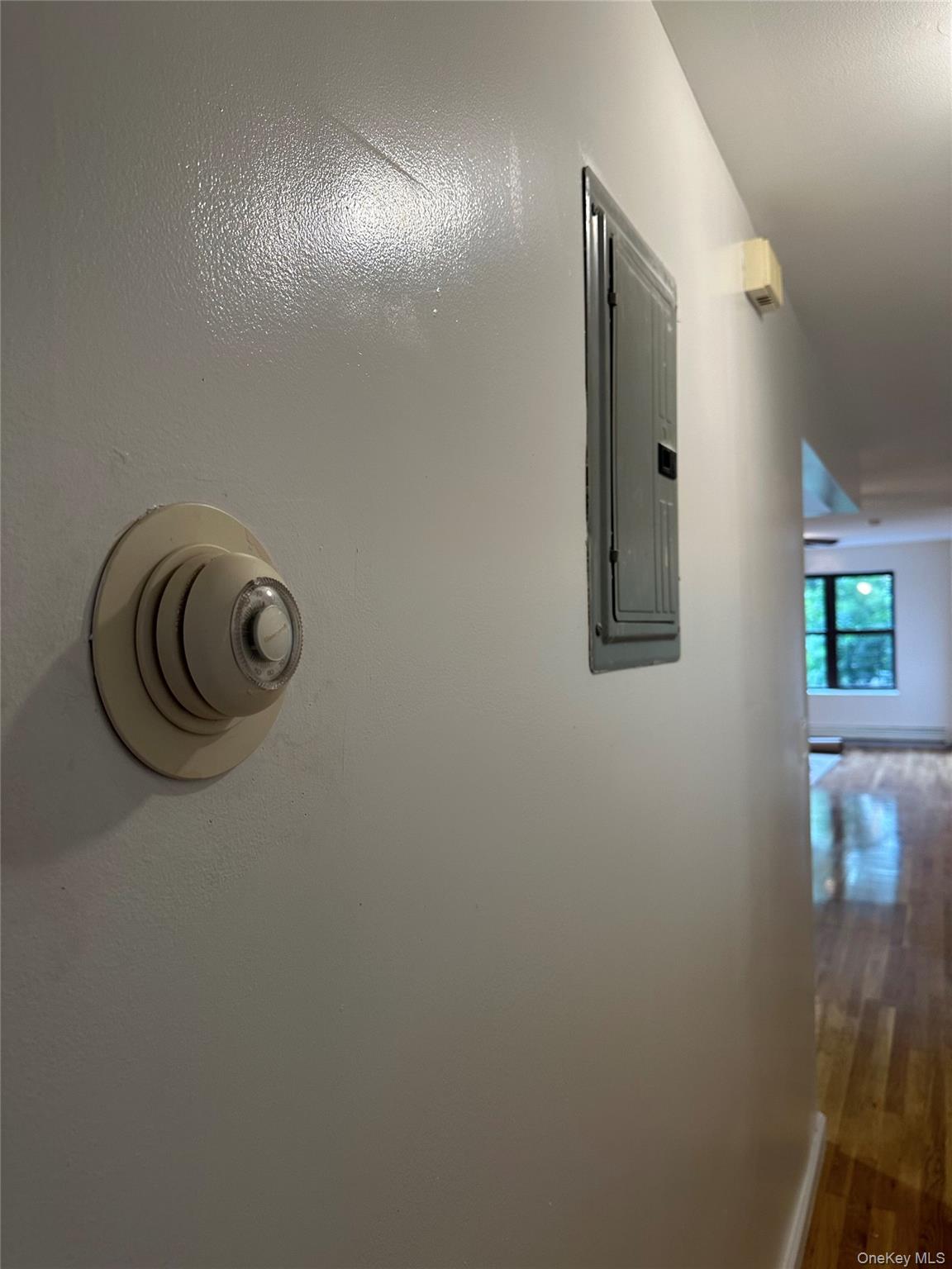 #14 photo, 1079 Willoughby Avenue, ブルックリン区 Brooklyn , NY 11221