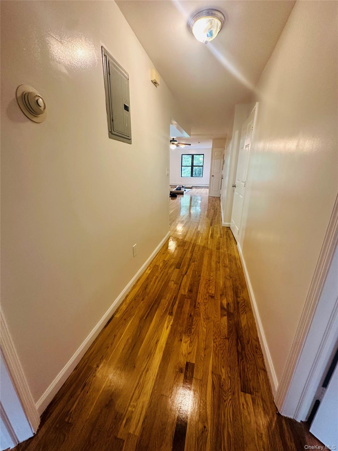 #2 photo, 1079 Willoughby Avenue, ブルックリン区 Brooklyn , NY 11221