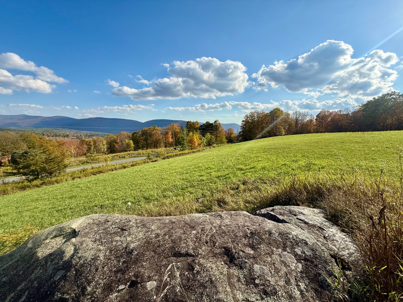 #11 photo, 0 Bruce Cross Rd, Lexington , NY 12468