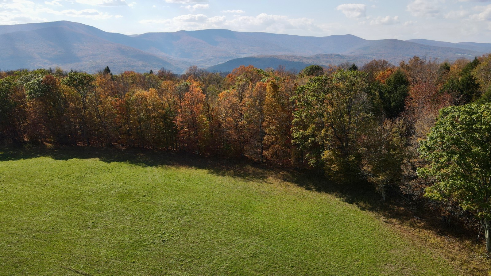 #17 photo, 0 Bruce Cross Rd, Lexington , NY 12468