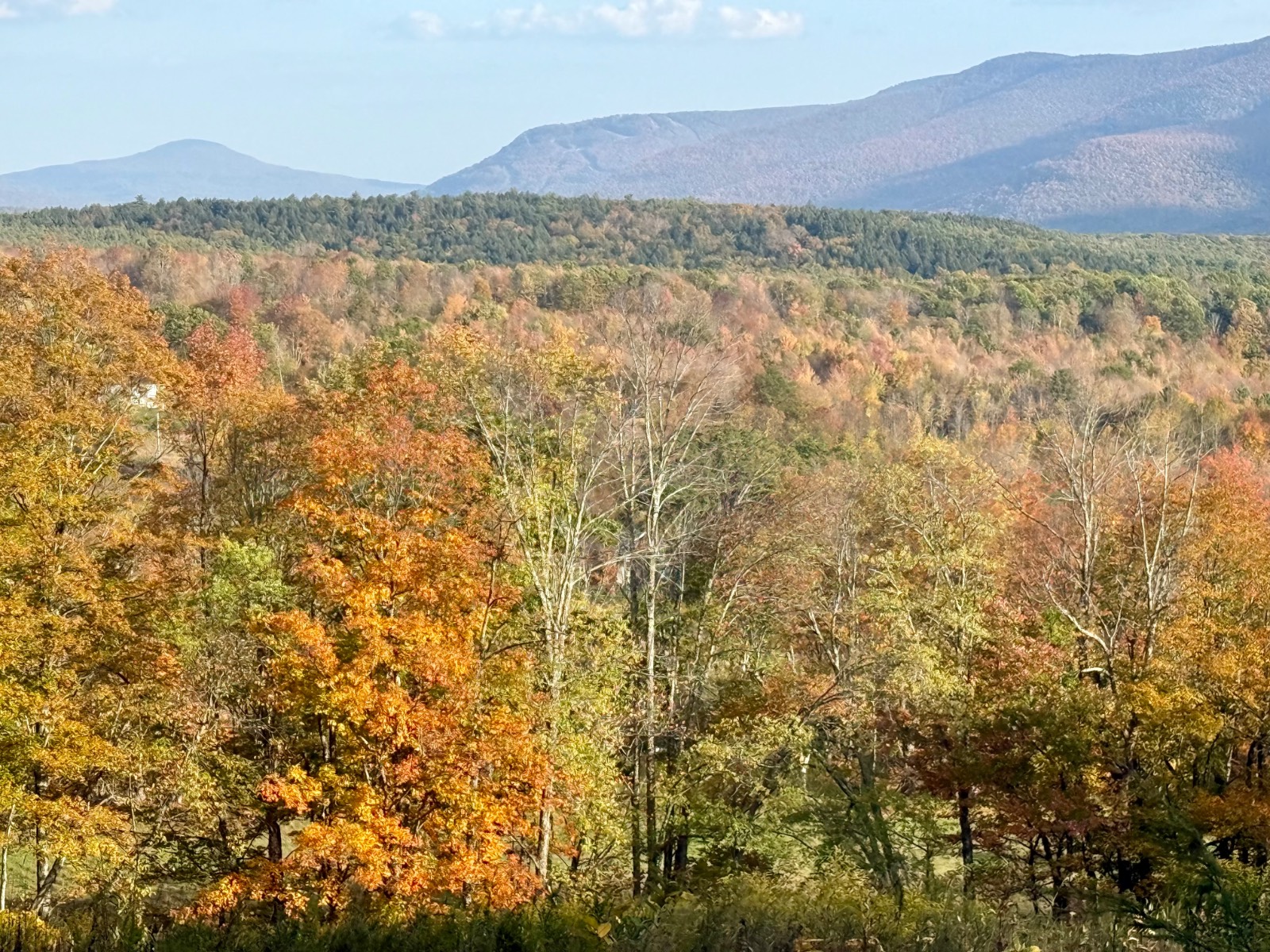 #18 photo, 0 Bruce Cross Rd, Lexington , NY 12468