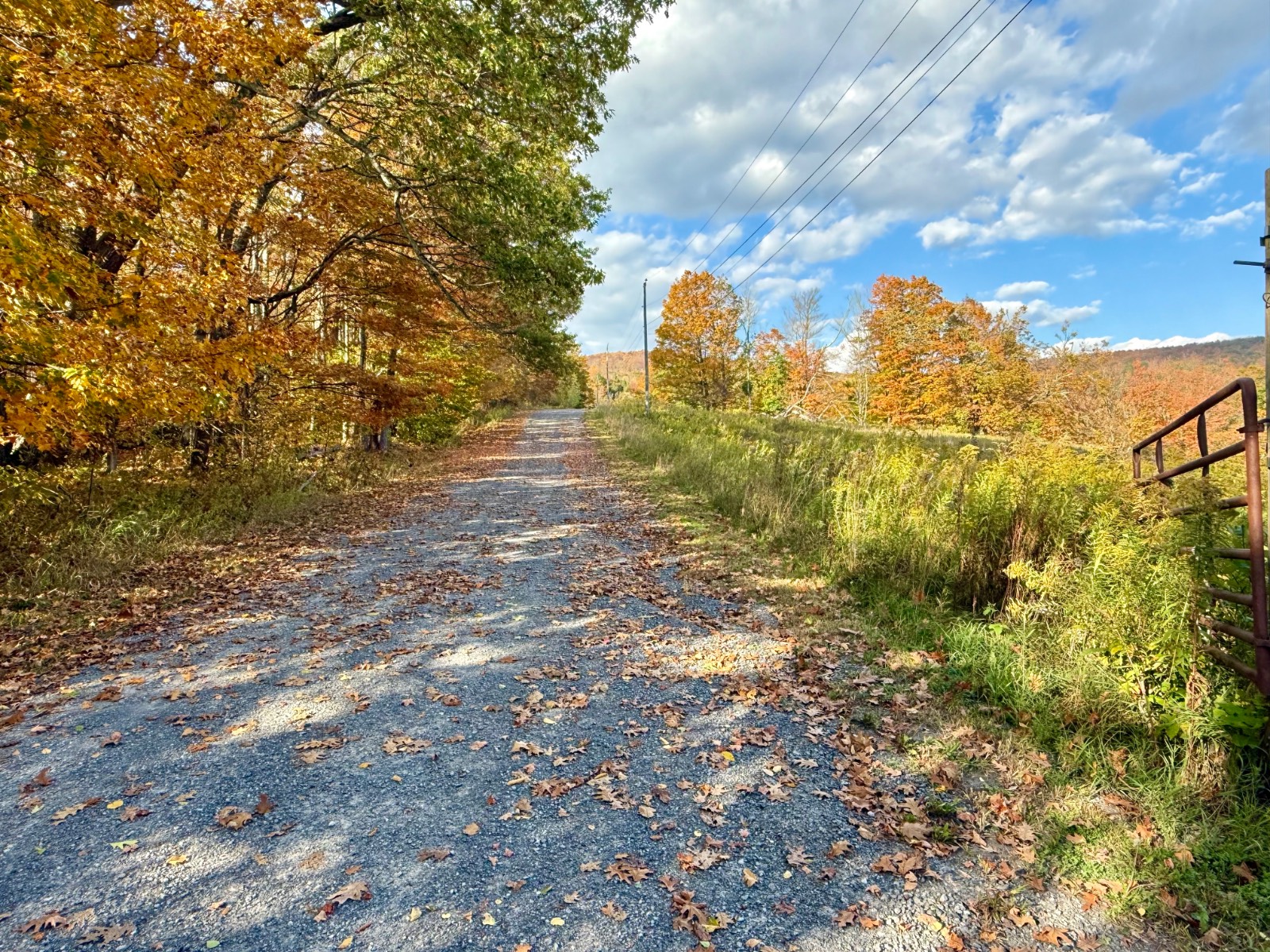 #20 photo, 0 Bruce Cross Rd, Lexington , NY 12468