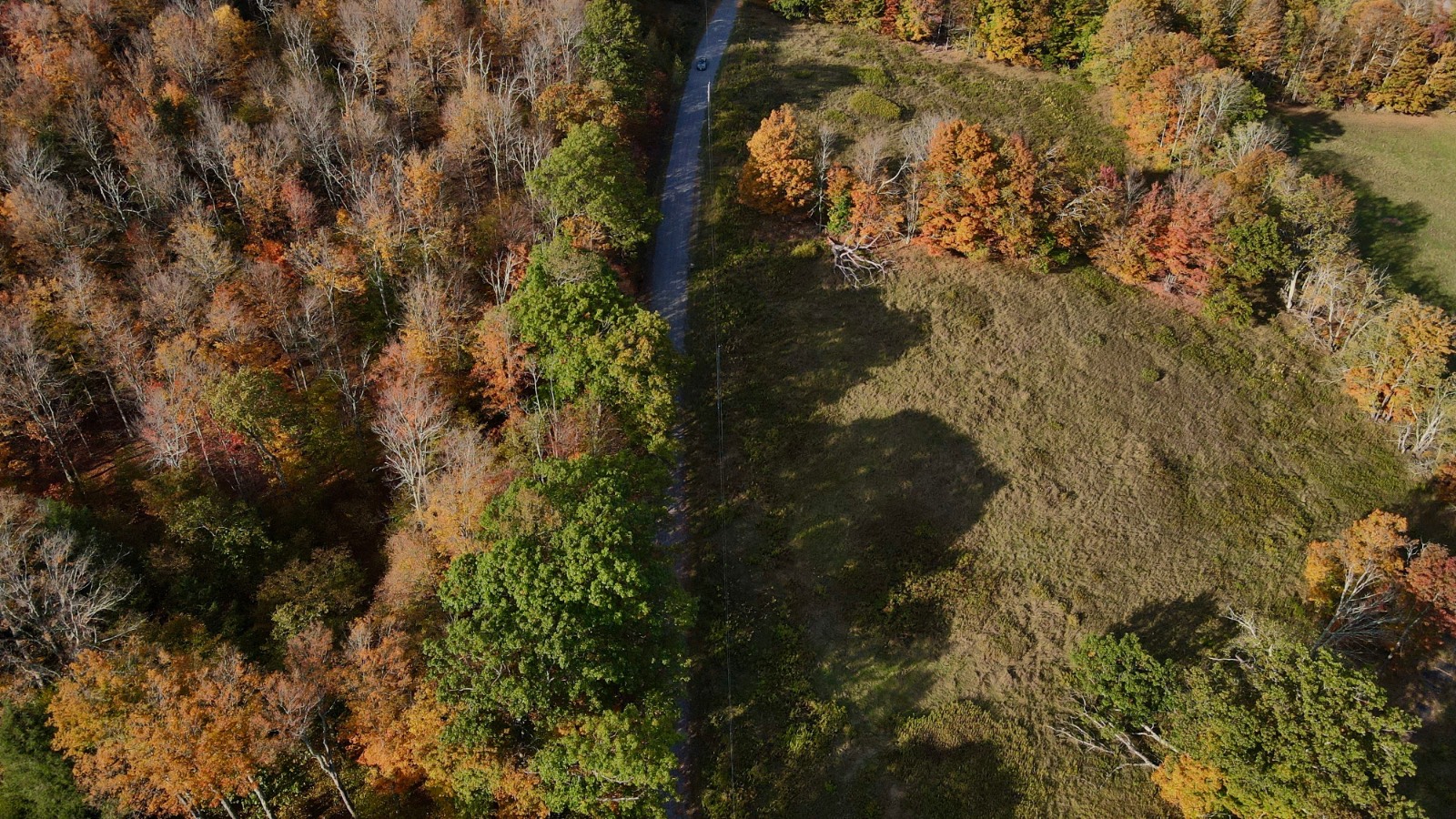 #21 photo, 0 Bruce Cross Rd, Lexington , NY 12468