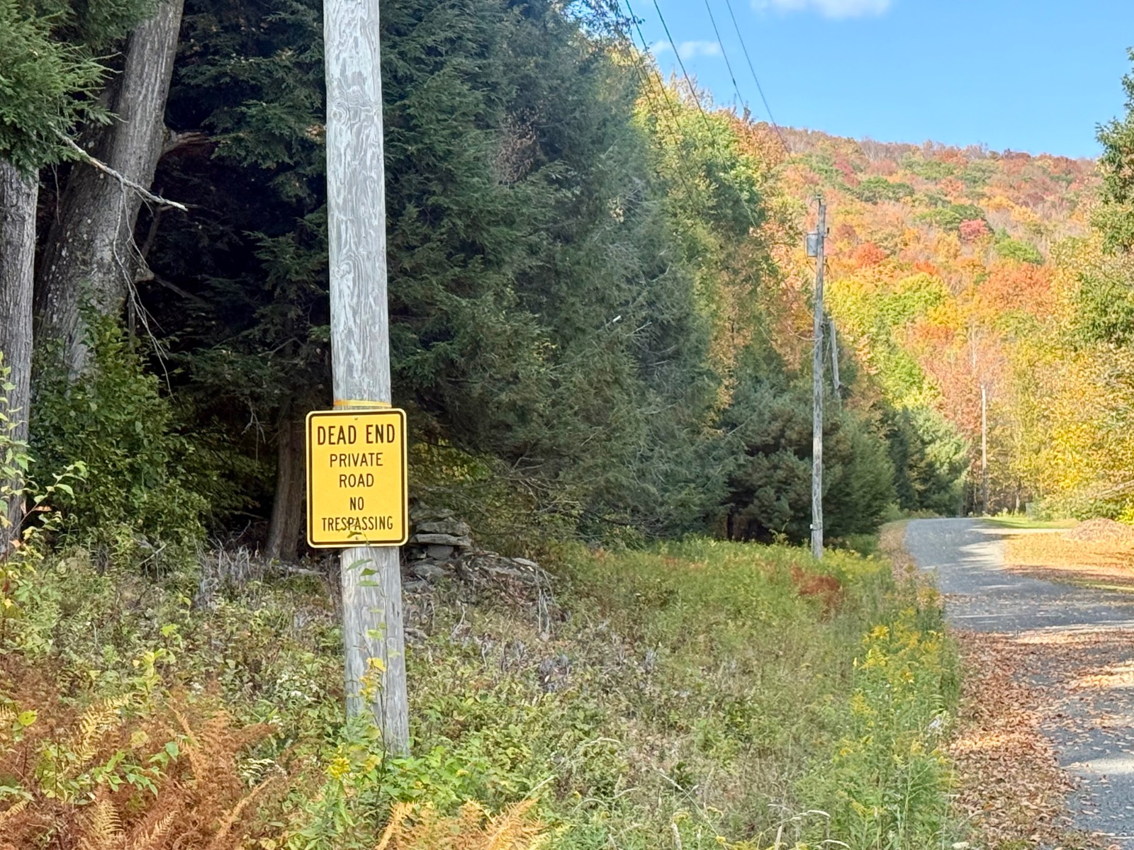 #22 photo, 0 Bruce Cross Rd, Lexington , NY 12468