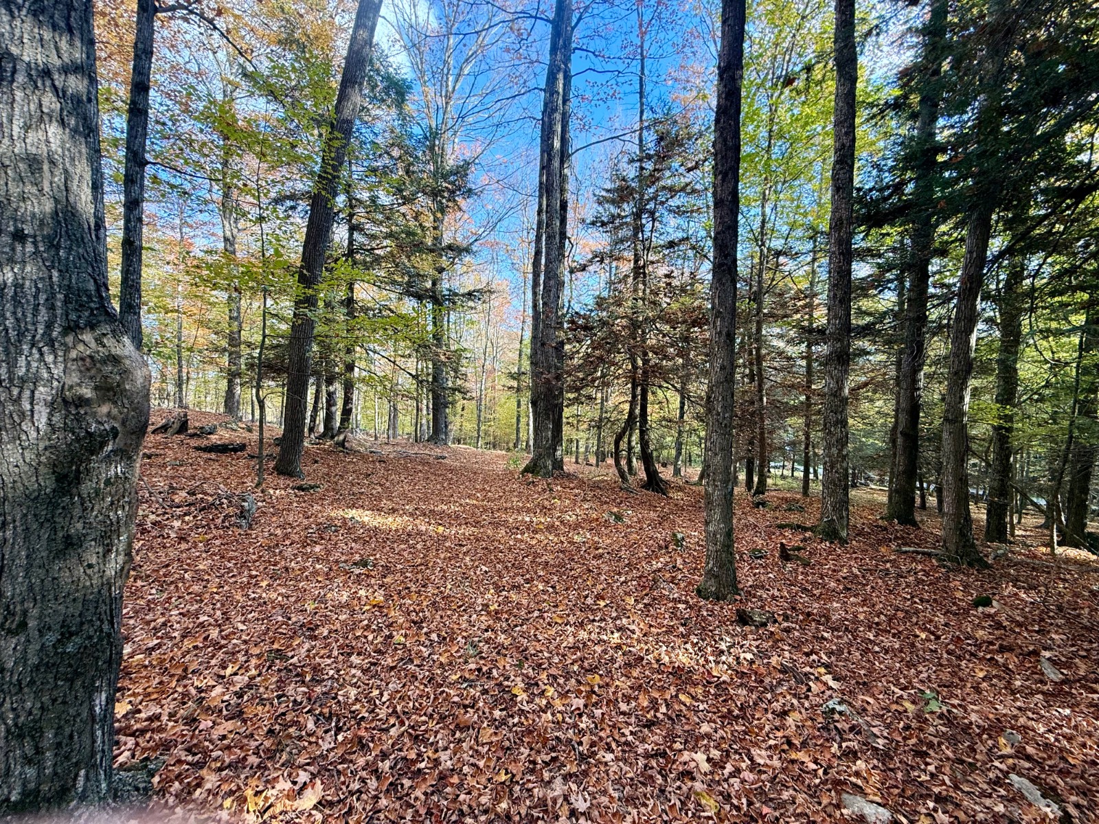 #26 photo, 0 Bruce Cross Rd, Lexington , NY 12468