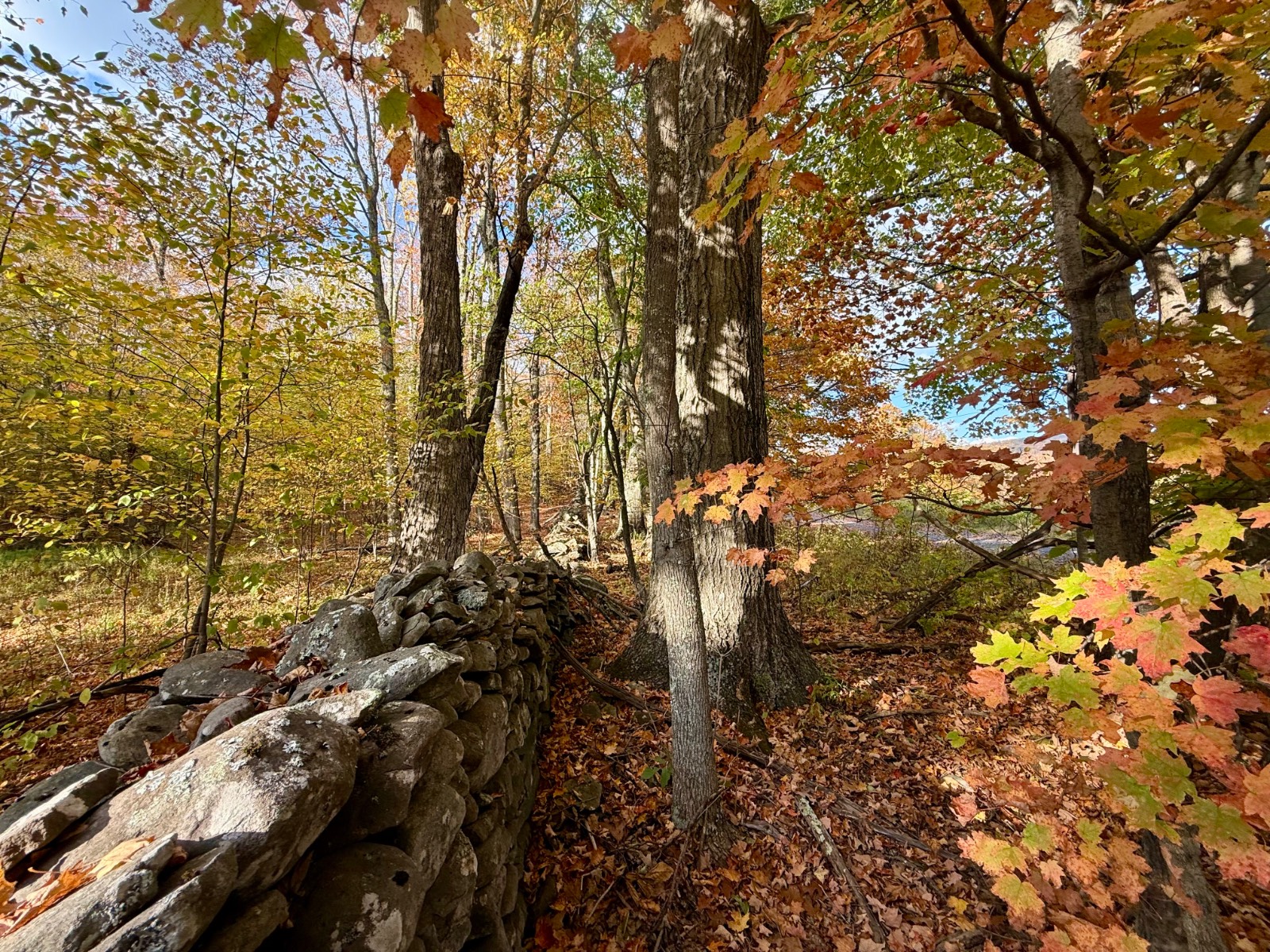 #27 photo, 0 Bruce Cross Rd, Lexington , NY 12468