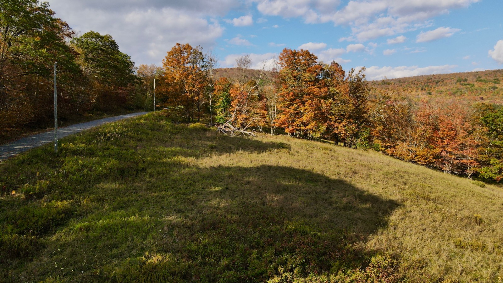 #28 photo, 0 Bruce Cross Rd, Lexington , NY 12468