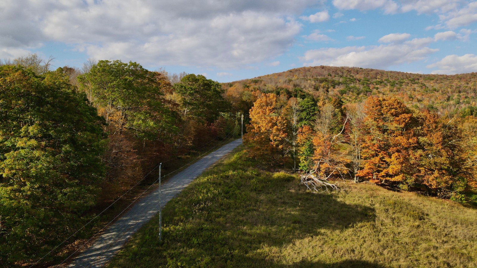 #29 photo, 0 Bruce Cross Rd, Lexington , NY 12468