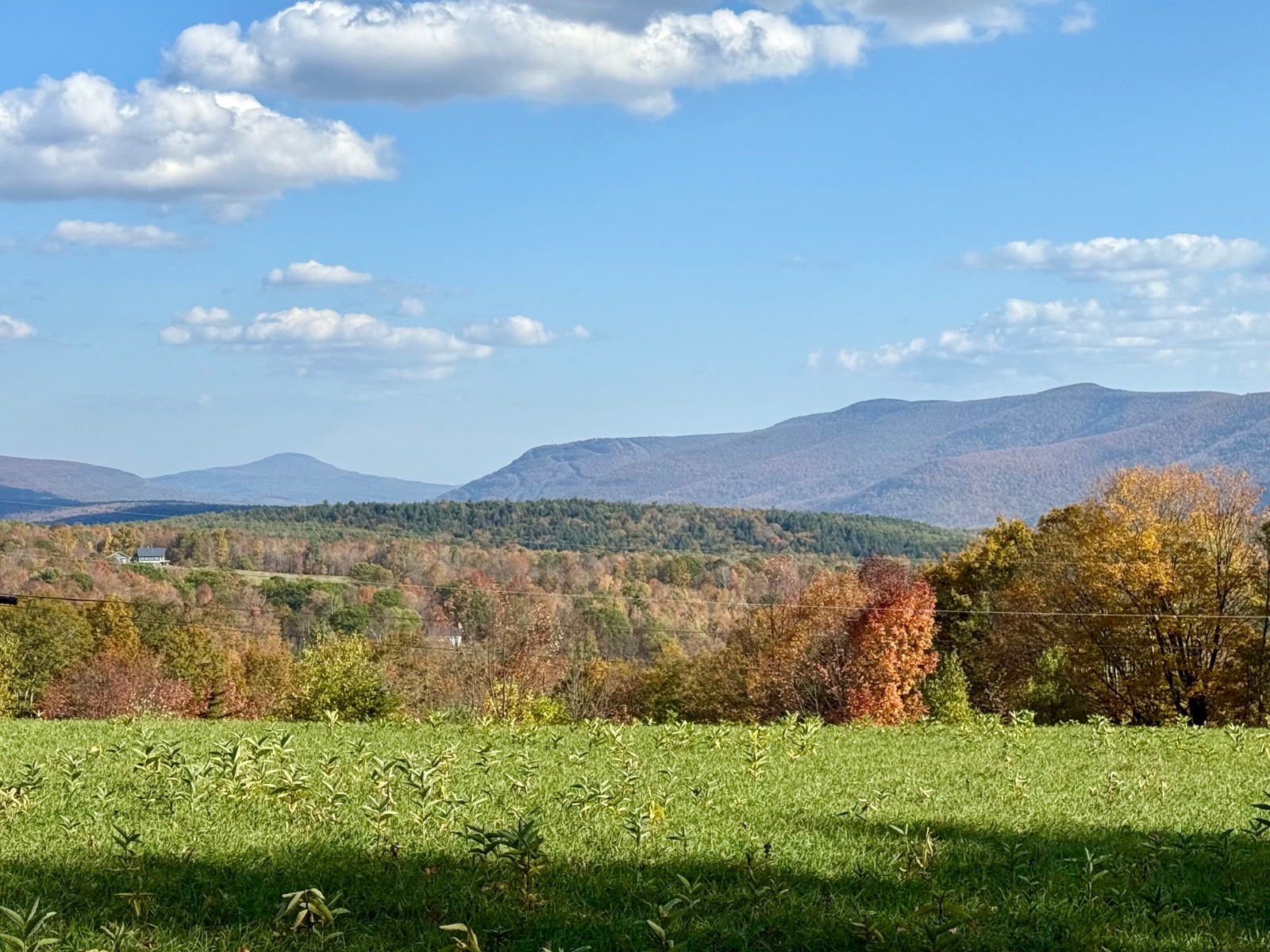 #3 photo, 0 Bruce Cross Rd, Lexington , NY 12468