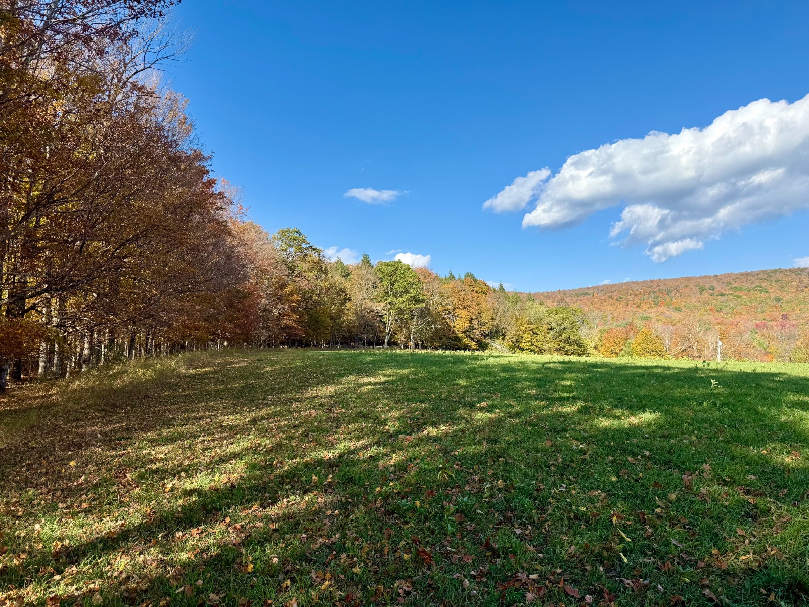 #30 photo, 0 Bruce Cross Rd, Lexington , NY 12468