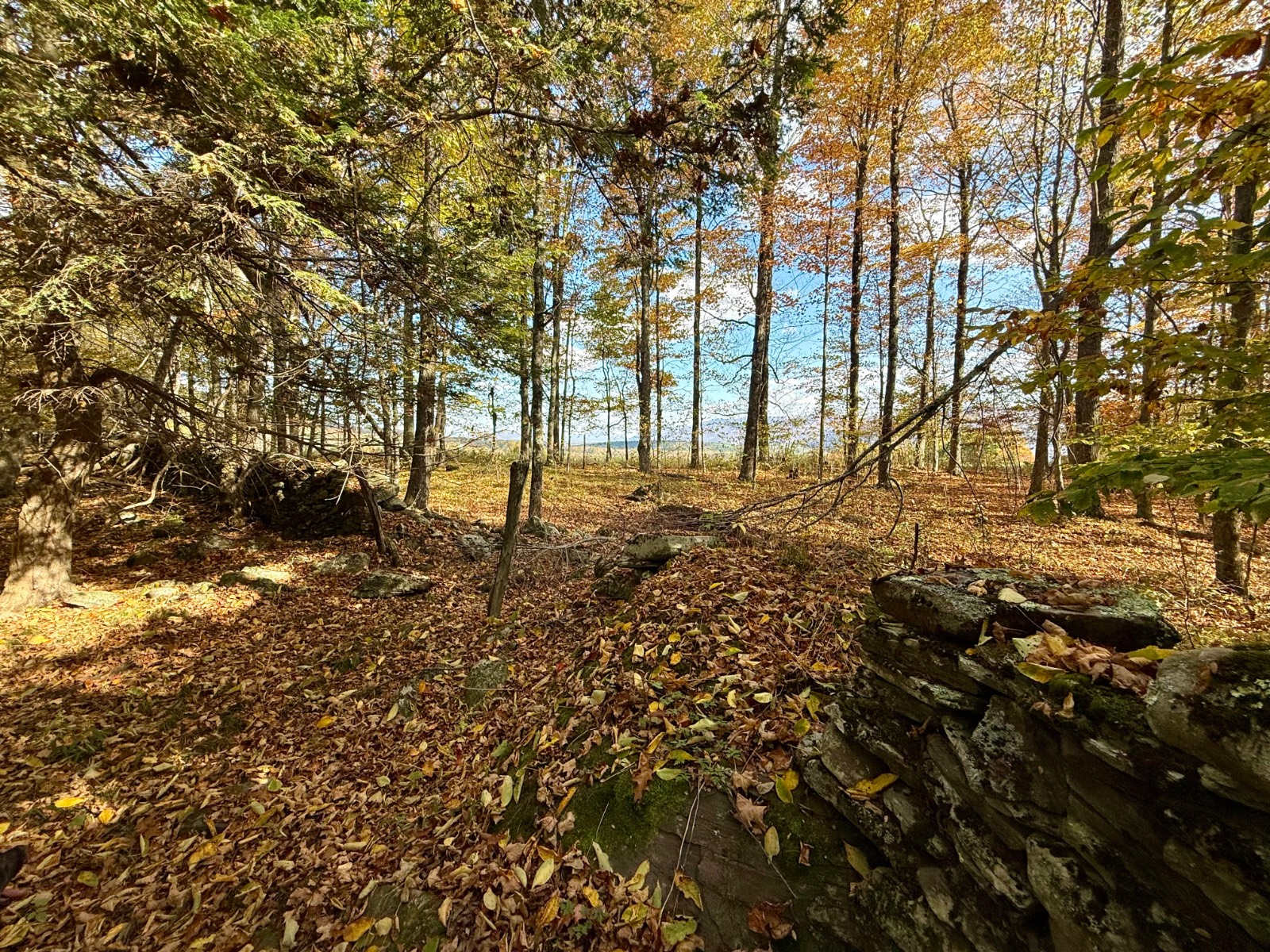 #31 photo, 0 Bruce Cross Rd, Lexington , NY 12468