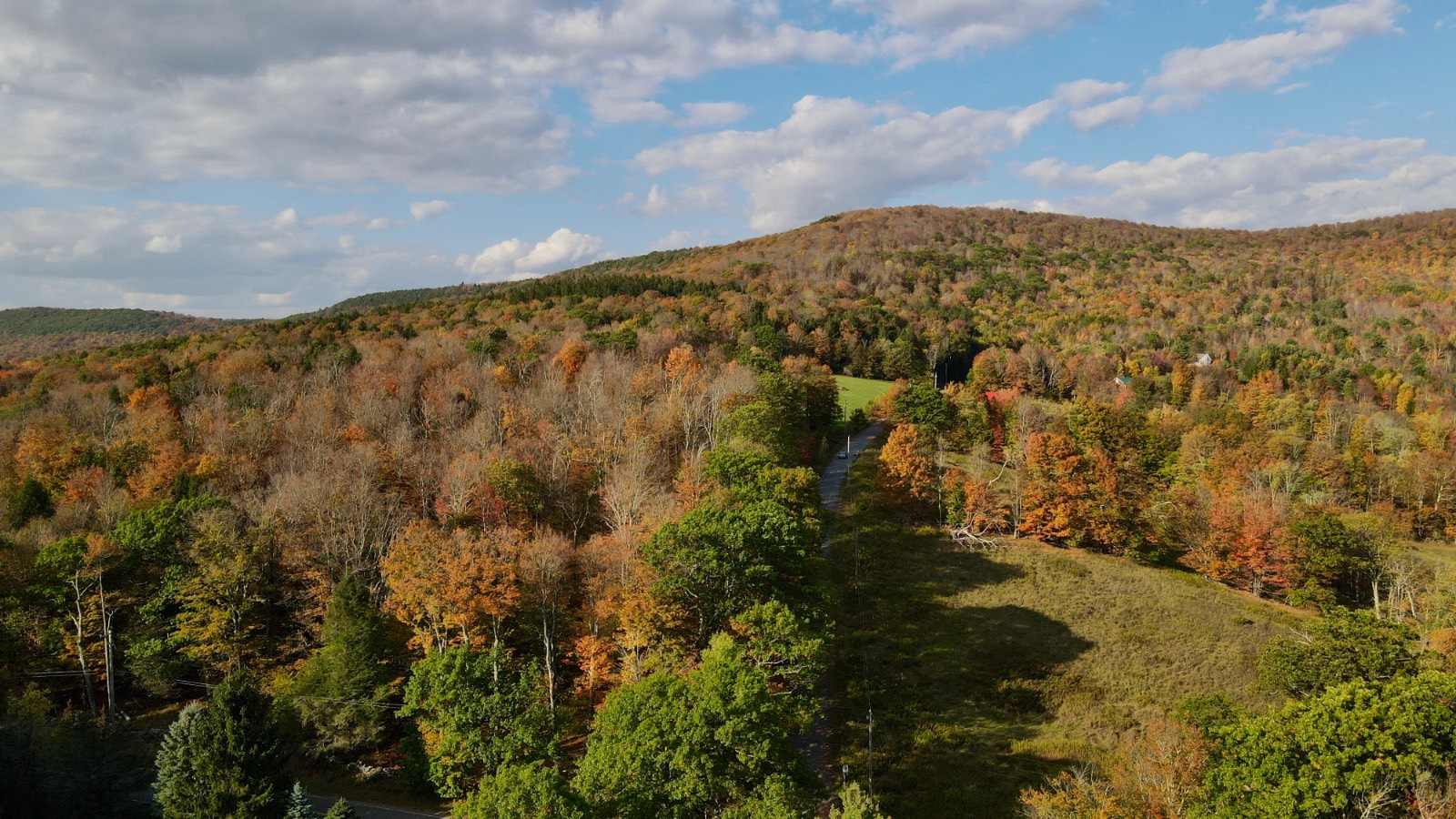 #33 photo, 0 Bruce Cross Rd, Lexington , NY 12468