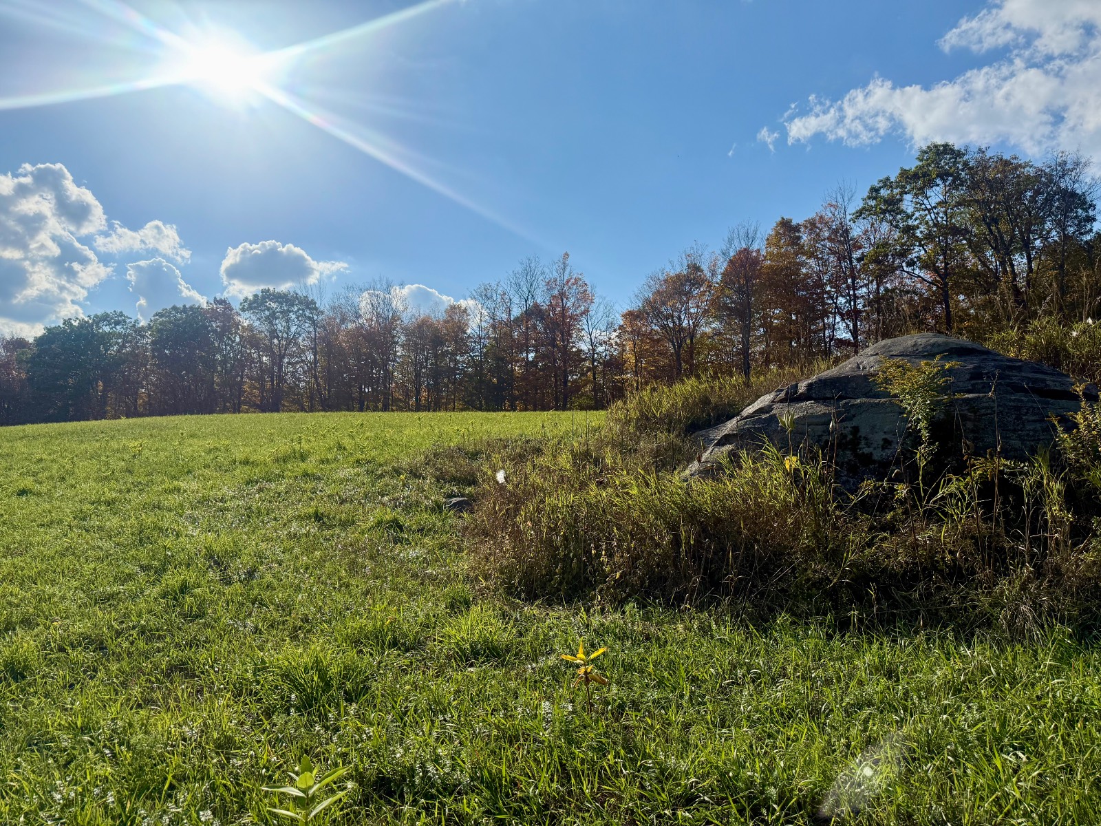 #37 photo, 0 Bruce Cross Rd, Lexington , NY 12468