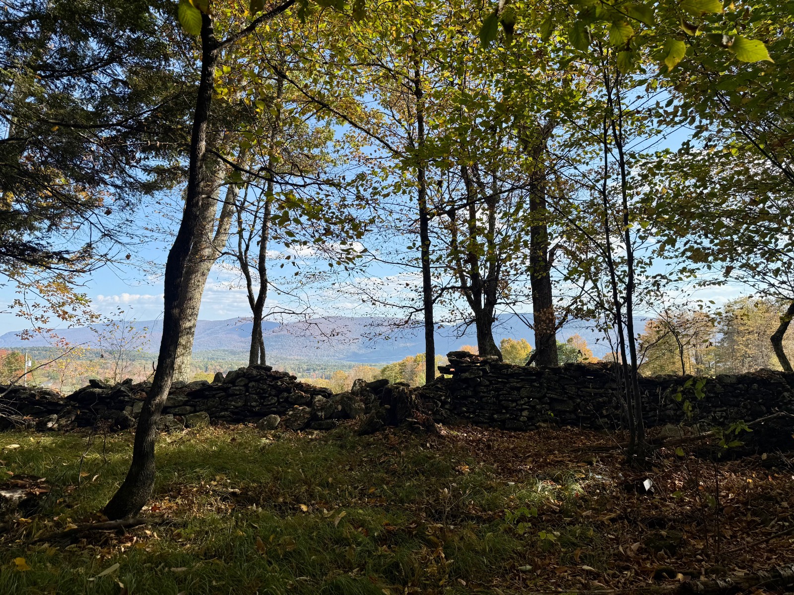 #43 photo, 0 Bruce Cross Rd, Lexington , NY 12468