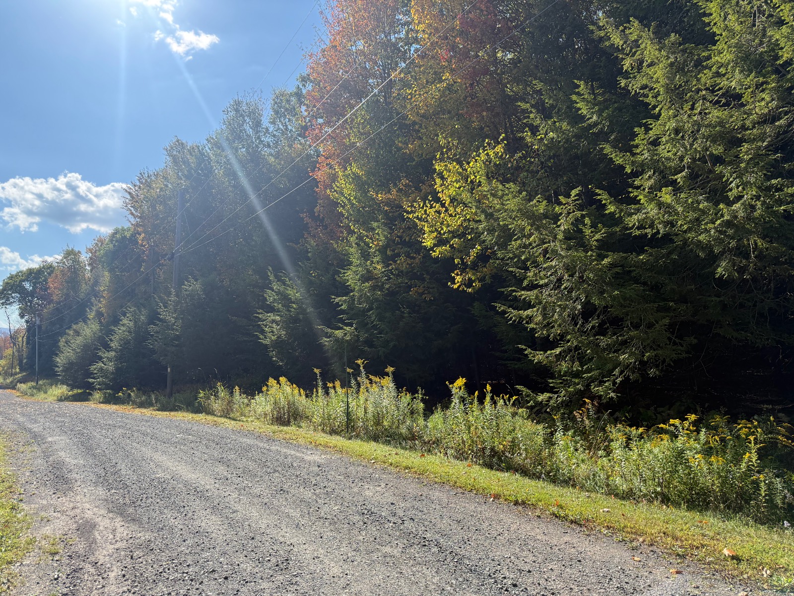 #48 photo, 0 Bruce Cross Rd, Lexington , NY 12468