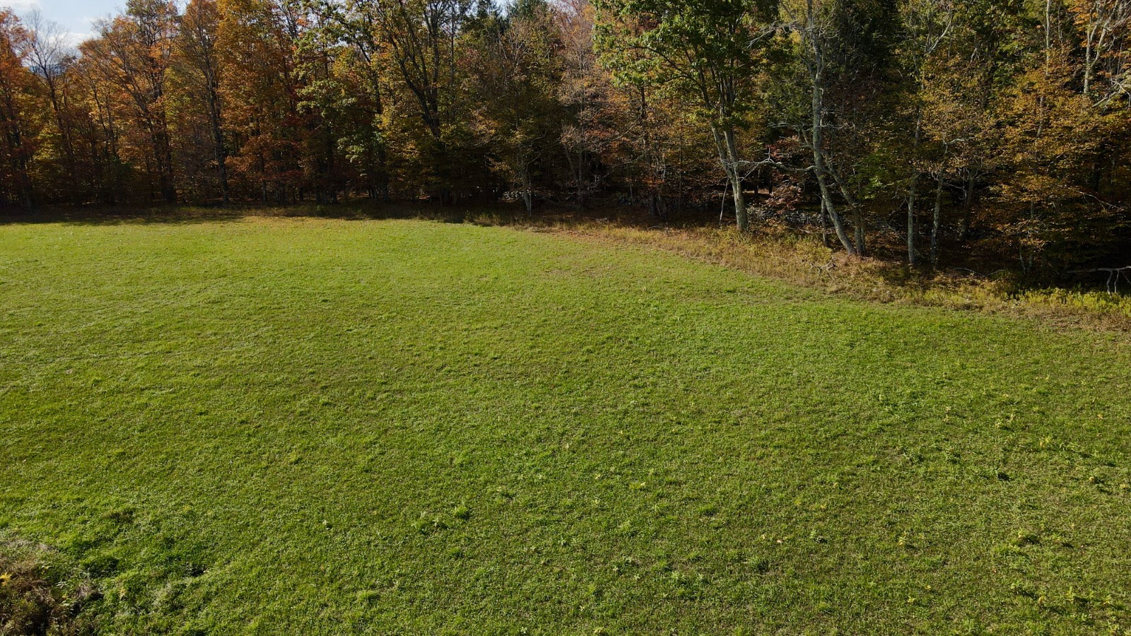 #49 photo, 0 Bruce Cross Rd, Lexington , NY 12468